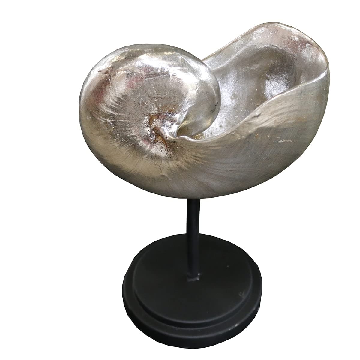 Sculpture Figurine Ethno extravagant Shell Feng Shui Silver Black