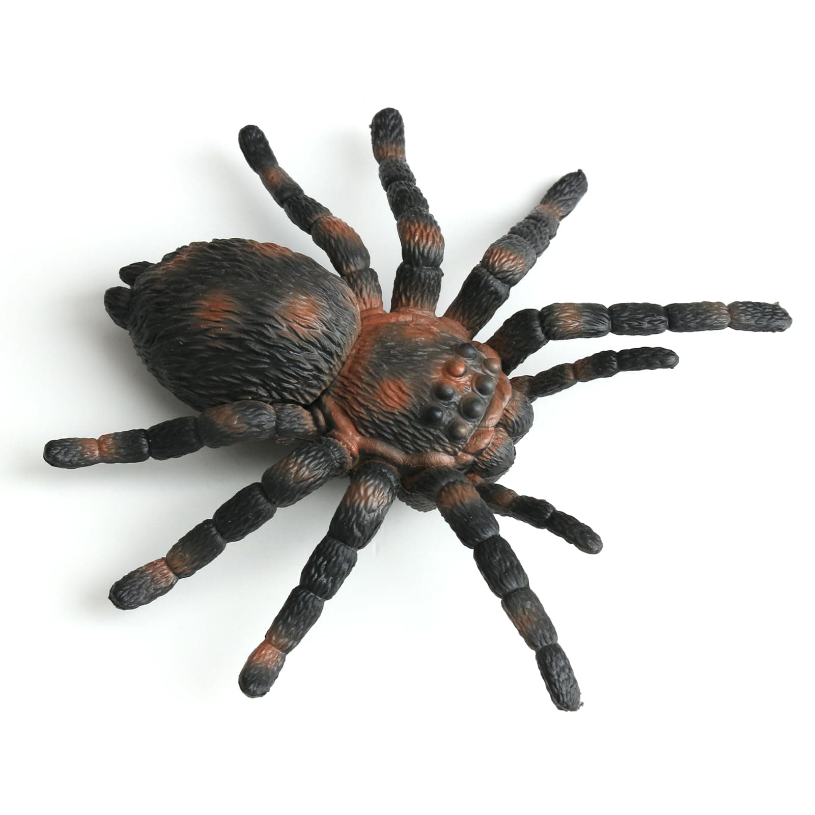 Fake Tarantula Spider, Realistic Animal Figures, Authentic Spider Educational Learning, Model Insect Plastic Highly Collectible Perfect for a Birthday Gift, Party Gift and Halloween
