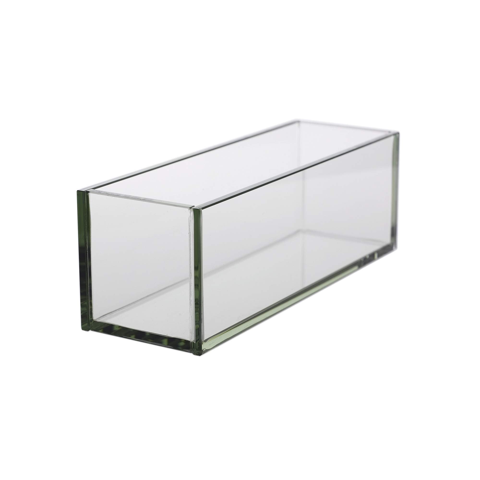 WGV Rectangle Plate Vase, Length 12", Width 4", Height 4", Glass Container, Floral Dispaly, Candy Holder, Planter Terrarium for Wedding Party Event, Home Office Décor, Clear, 1 Piece