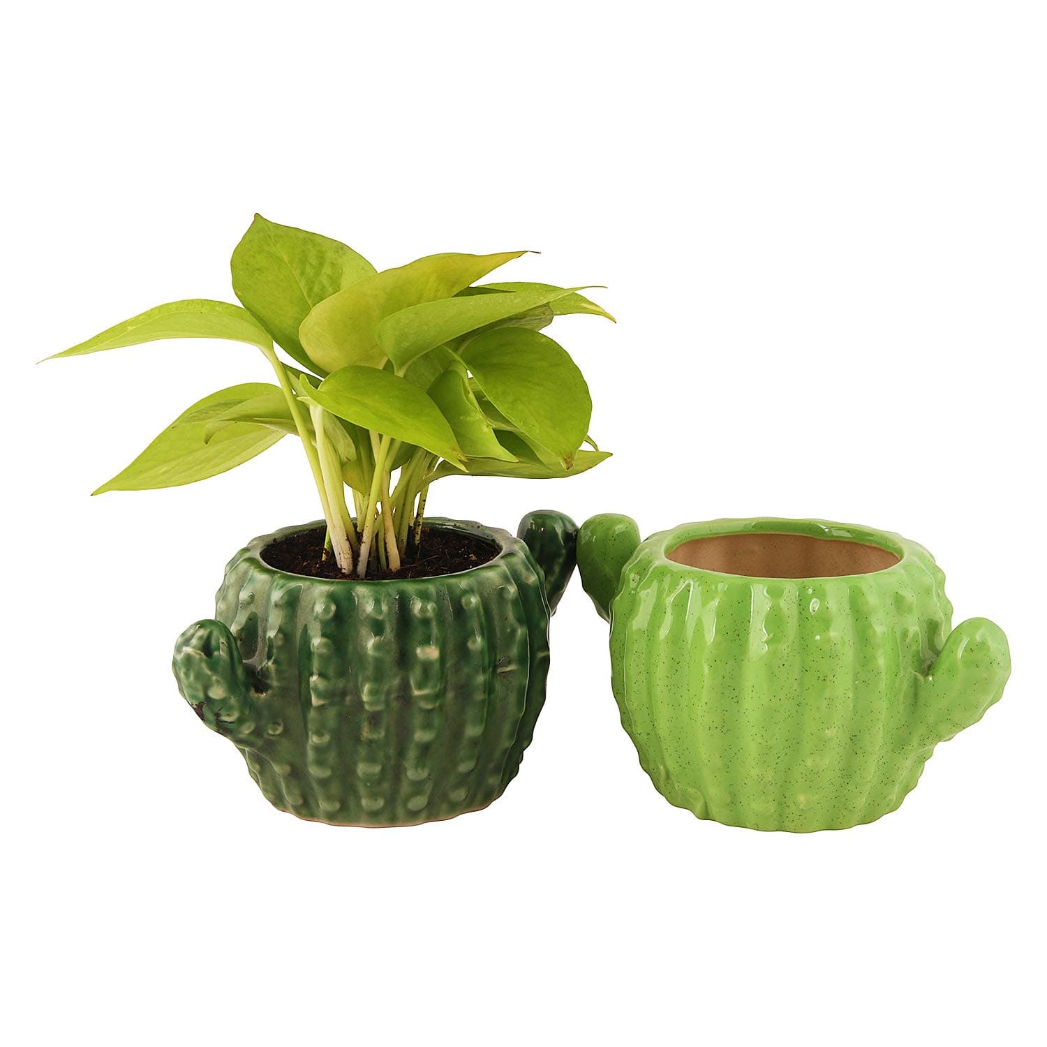 Leafy Tales Set of 2 pots - Cactus Shape Ceramic Pot Set of 2, Pot Only