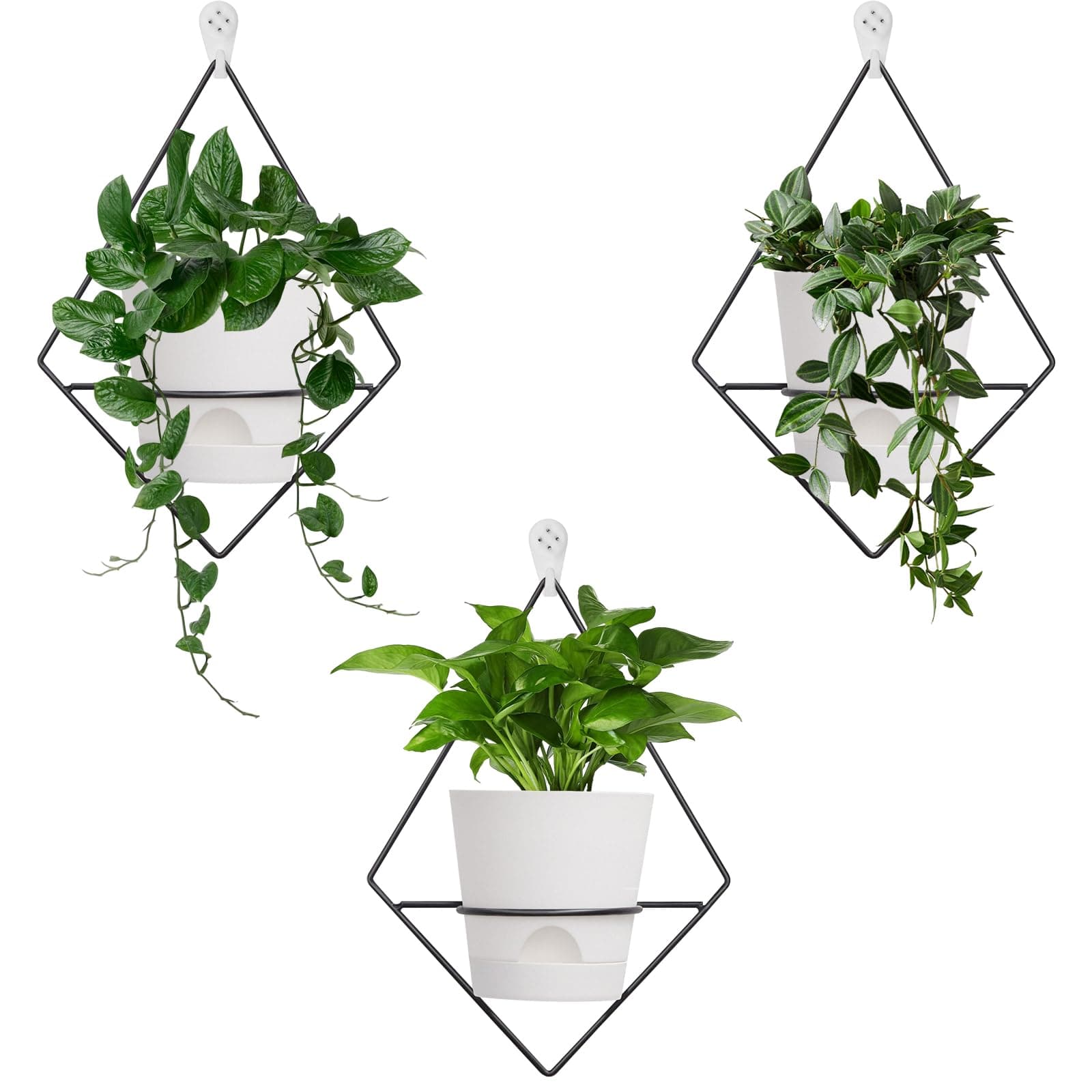 3 Sets Wall Planters for Indoor Plants Geometric Hanging Planters for Indoor Plants - Self-Watering Flower Pots with Black Metal Holder, Mounted Succulent Planter, 5" Black Plant Pot
