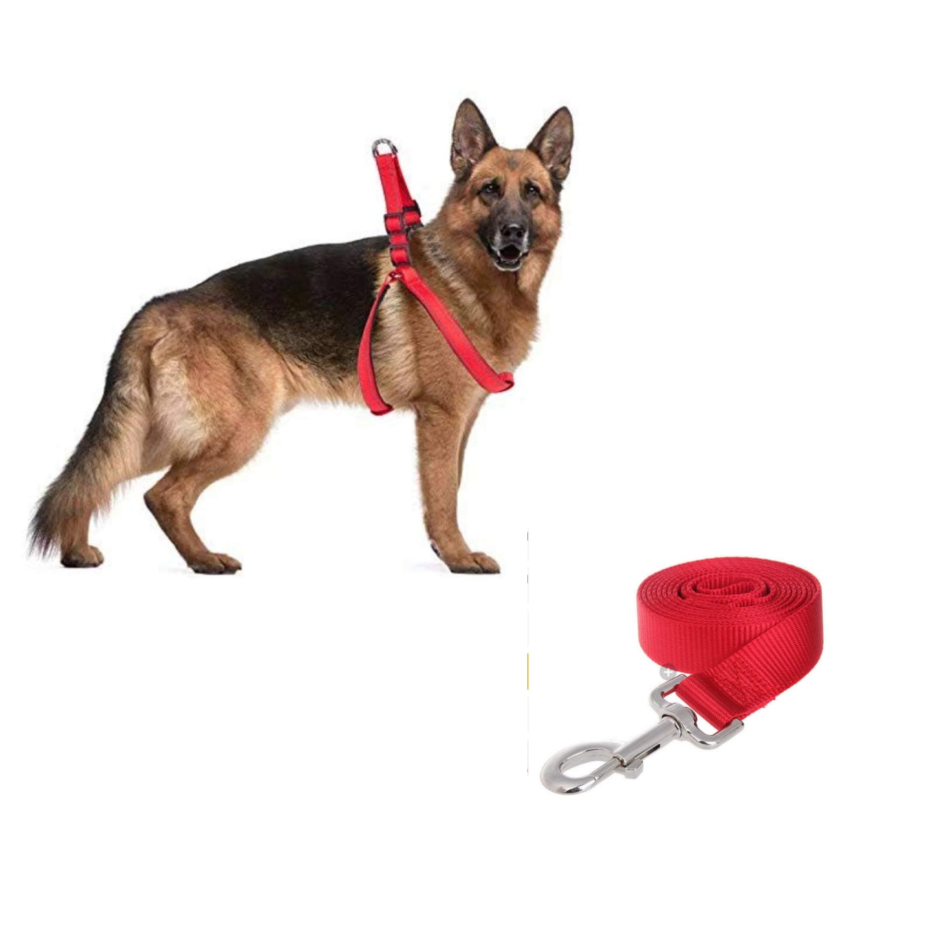 ST Pet Nylon with Padding Dog Harness with Leash (1.25" inch)