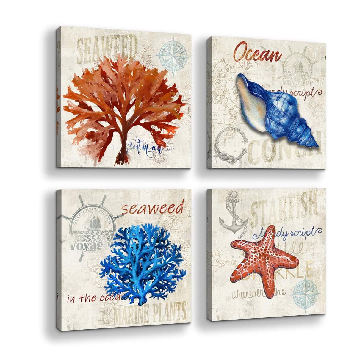 Bathroom Decor Ocean Canvas Wall Art Beach Themed Reddish Brown Navy Starfish Conch Seaweed Print Picture Artwork Ready to Hang for Home Kid Girls Room Bedroom Wall Decoration Size 14x14 Each Panel