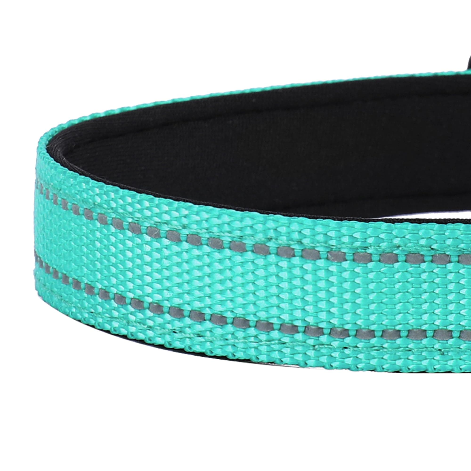 Reflective Dog Collar, Adjustable Soft Neoprene Padded Nylon Pet Collars with Buckle for Medium Dogs, Teal,M