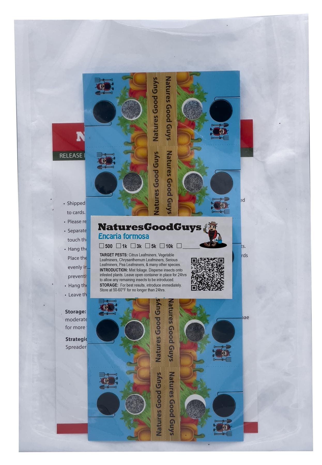 1,000 Encarsia Formosa Eggs for Whitefly Control