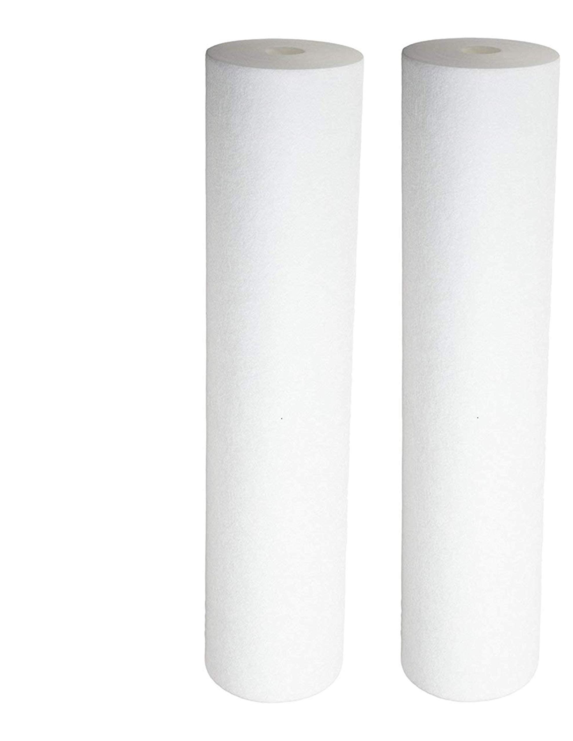 Sediment Filter - Dual Gradient Density 25/1 Micron 20" x 4.5" 2 Pack