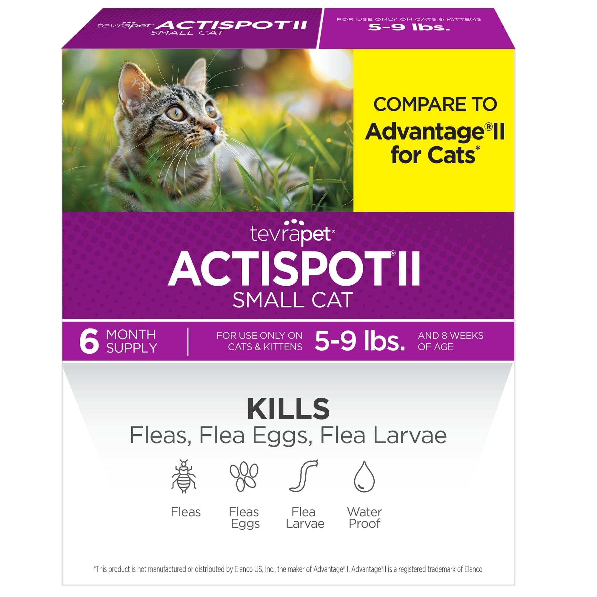TevraPet Actispot II Flea Treatment for Small and Medium Cats 5-9 lbs | 6 Doses | Powerful Prevention and Control, Clear