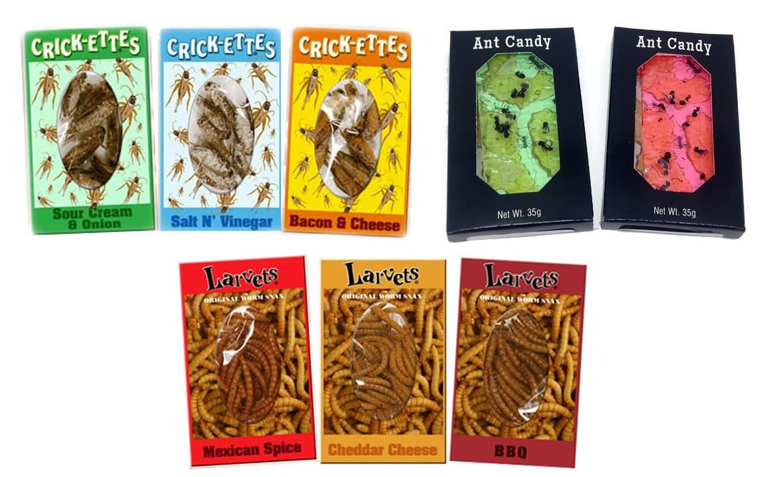 Ant Candy, Original Cricket Snax and Larvets Original Worm Snacks (Bundle of 8 Flavored Insect Snack Items)