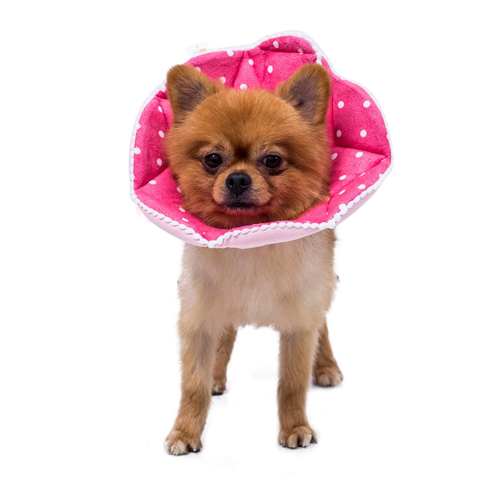 WZPET Adjustable Dog Cat Cone,Soft Recovery Cat Cone Collar,Dog Protective Collar for Cats and Puppy Surgery,Pink,Small