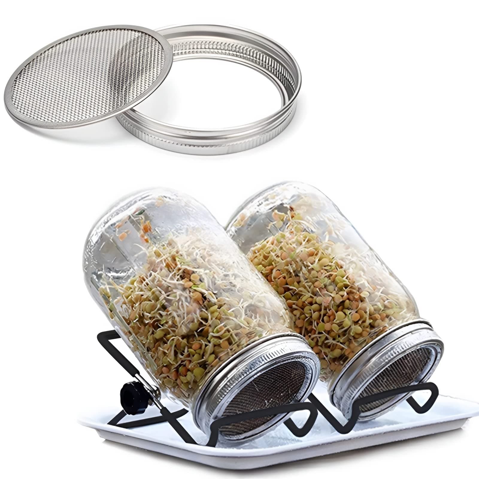 Mason Jar Sprouting Kit-2pack 32oz Complete Wide Mouth Mason Jar Sprouting Kit with Stainless Steel Sprouter Lids,Stand &Tray,Sprouting Jars for Bean Broccoli Alfalfa Radish Sunflower Seed