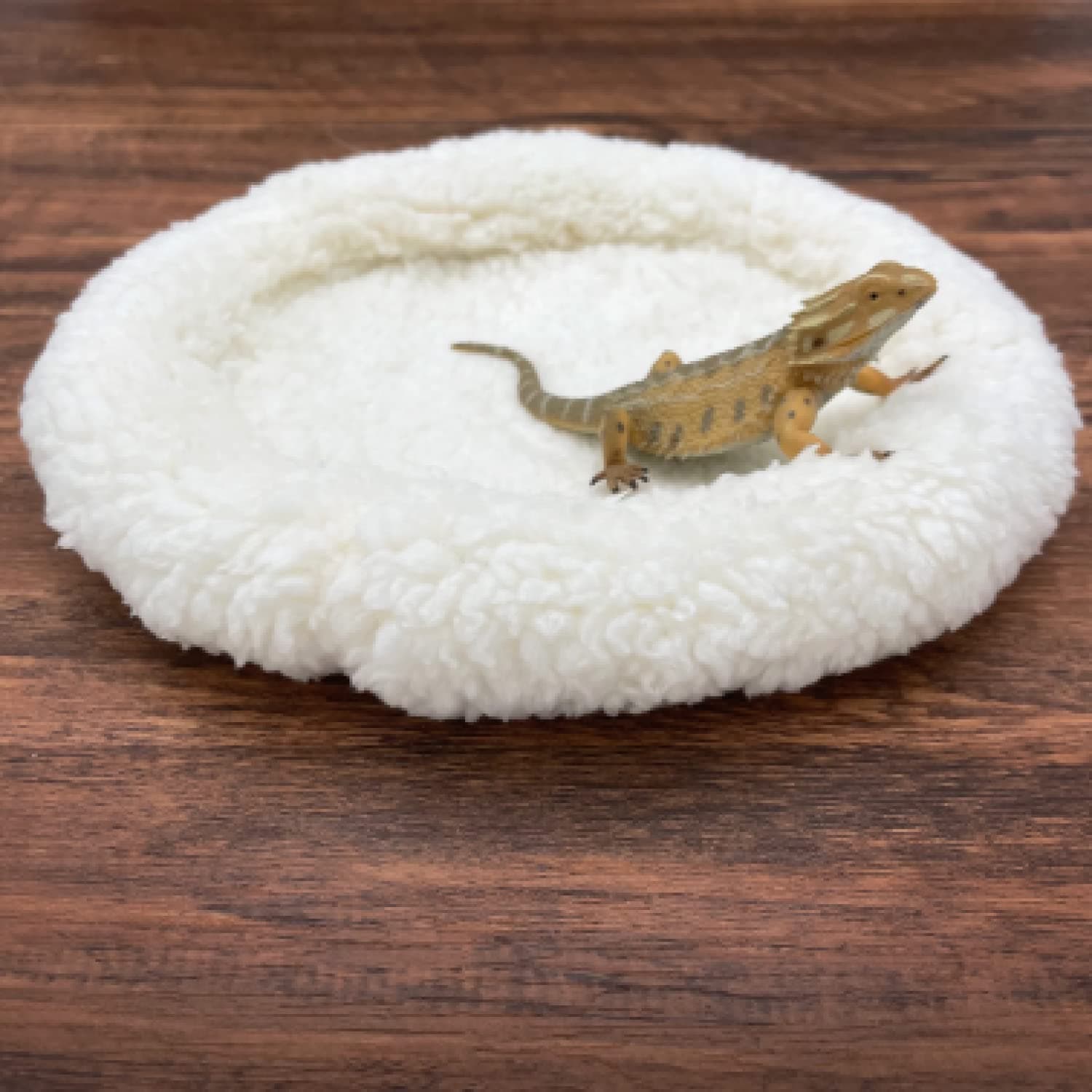Ultra Soft Cushion for Small Pets - Cozy Plush Sleeping Bag for Bearded Dragon, Lizard, Leopard Gecko, Reptile and Other Small Animals; Premium Bearded Dragon Tank Accessories