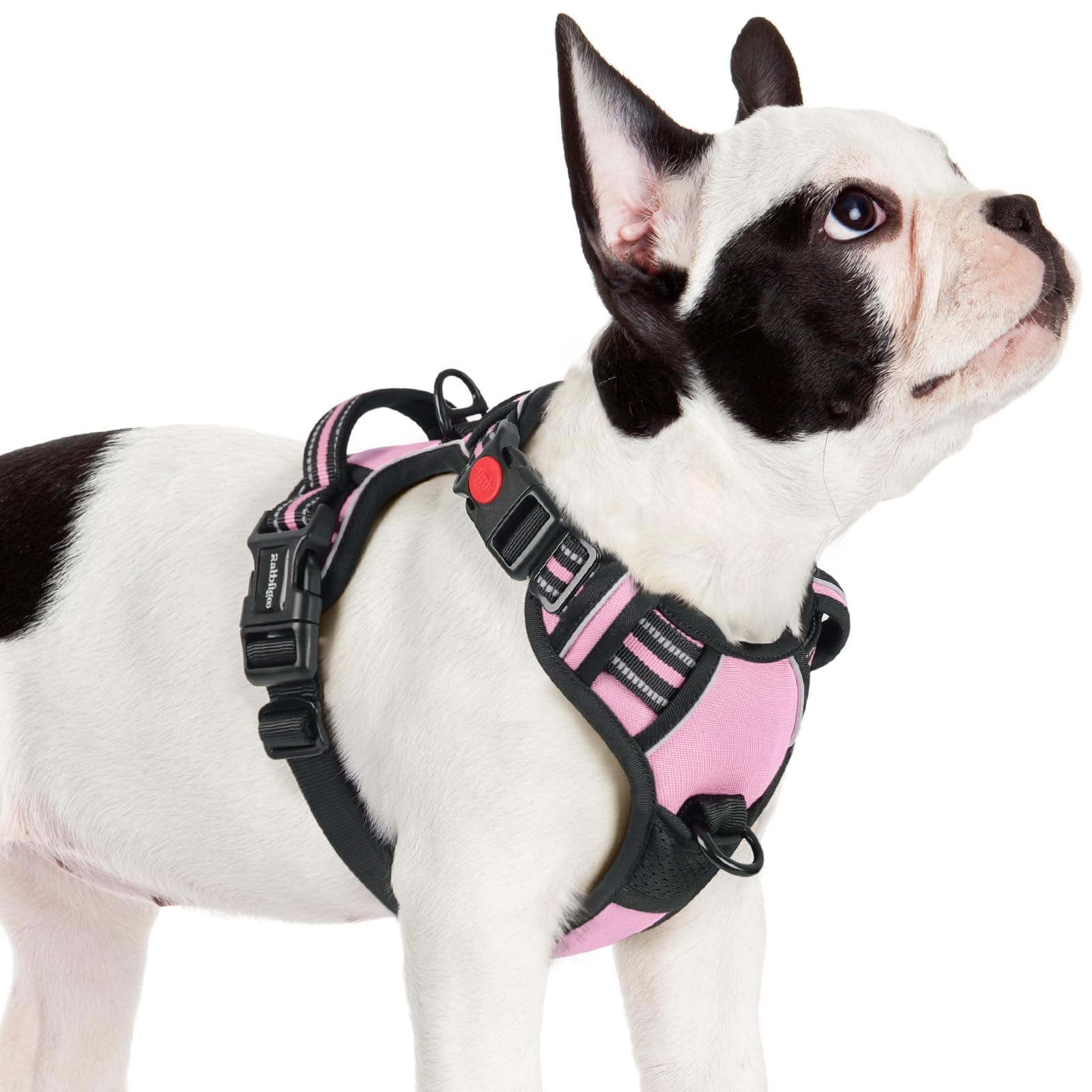 rabbitgooDog Harness Small Dog with Neck Release Buckle, Adjustable Soft Padded Puppy Pet Vest with Easy Control Handle, Reflective No Pull Dog Harness with Front Back Clips, Pink, S