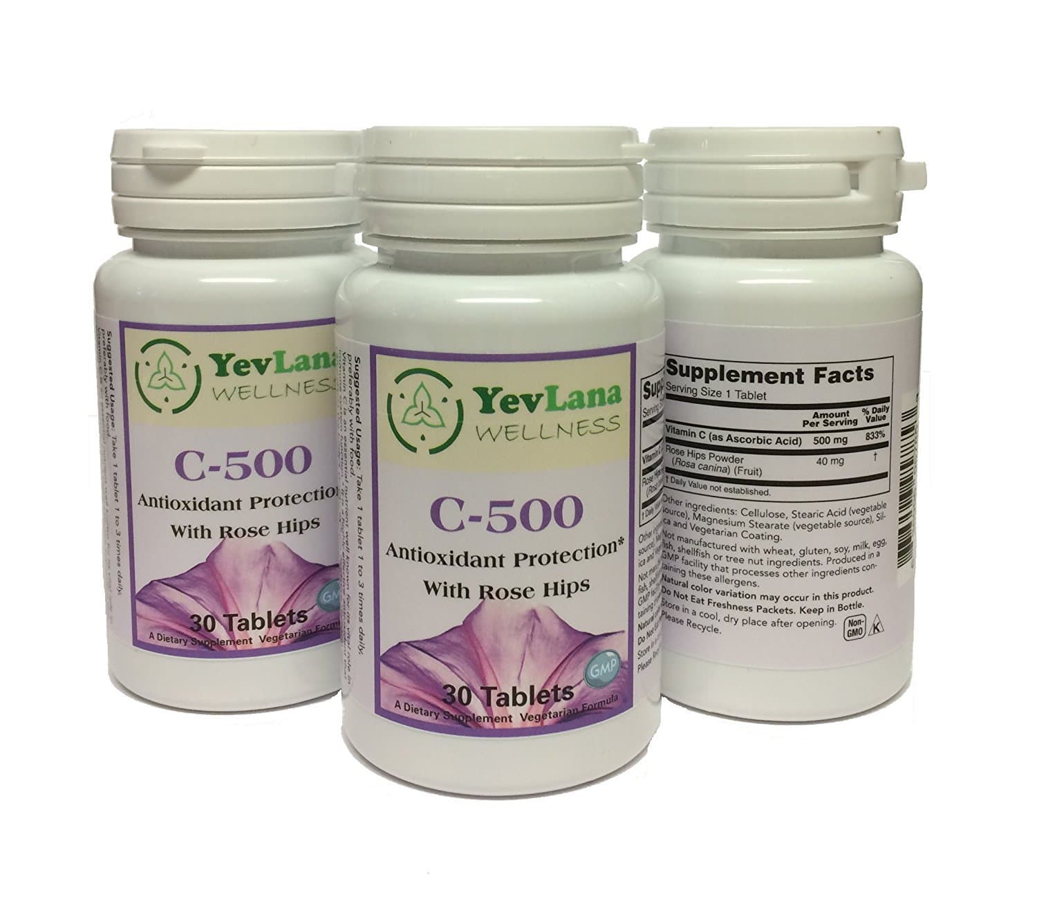 Vitamin C 500 with Rose Hips - Holistic (1)