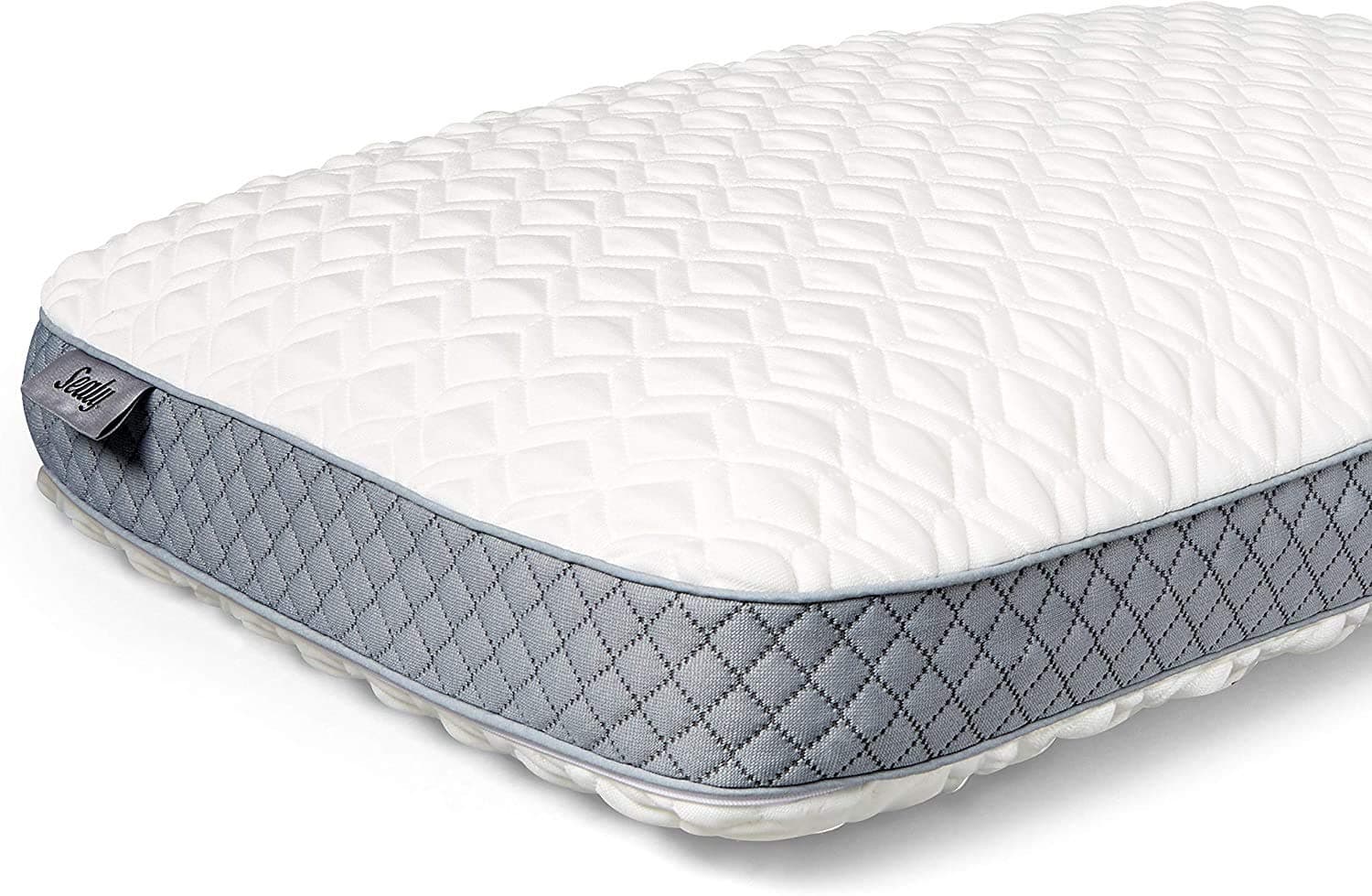 Sealy Molded Memory Foam Pillow, Standard, White, Grey