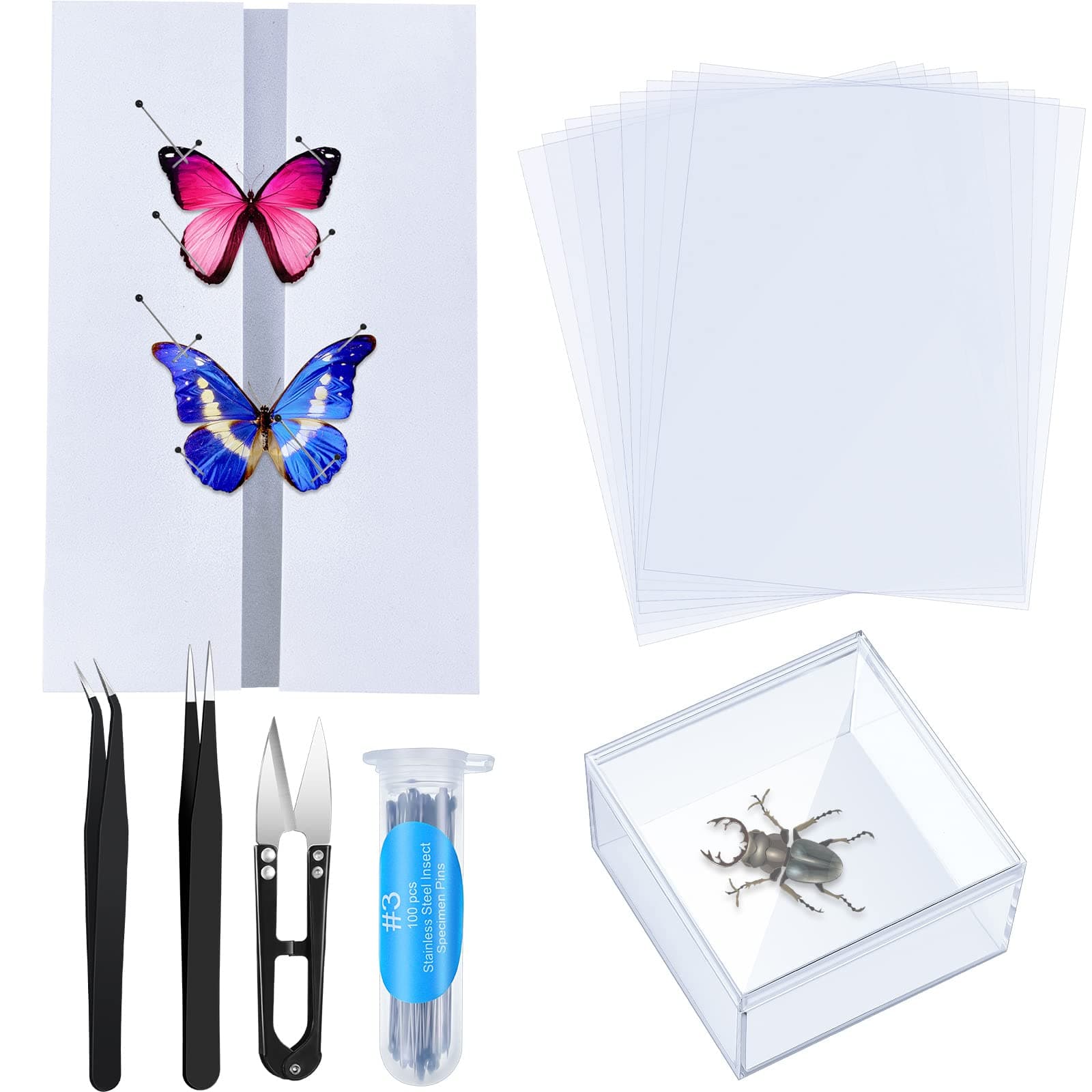 - Taiyin 14 Pieces Insect Specimen Tools Kit Insect Display Case Box with Clear Top 8 Sheets Thin Tracing Paper Butterfly Mounting EVA Foam Pinning Board Pins 3 Pcs Specimen Tools for Bugs Collection