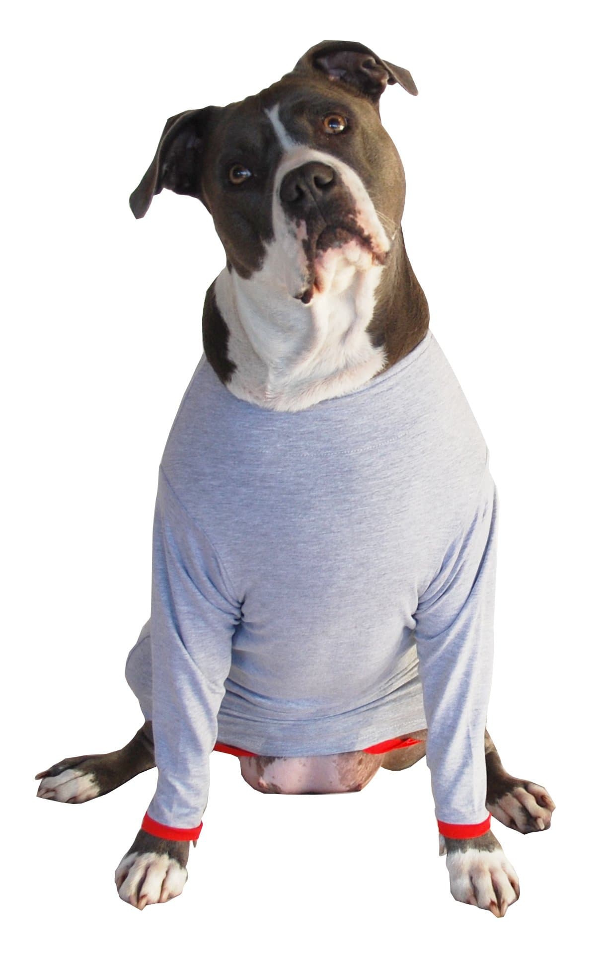 POPforPETS Post Operative Protection Shirt for Dogs (Medium) - POP for Pets Better Than The Cone! The Most Comfortable Alternative Shirt for Recovery!