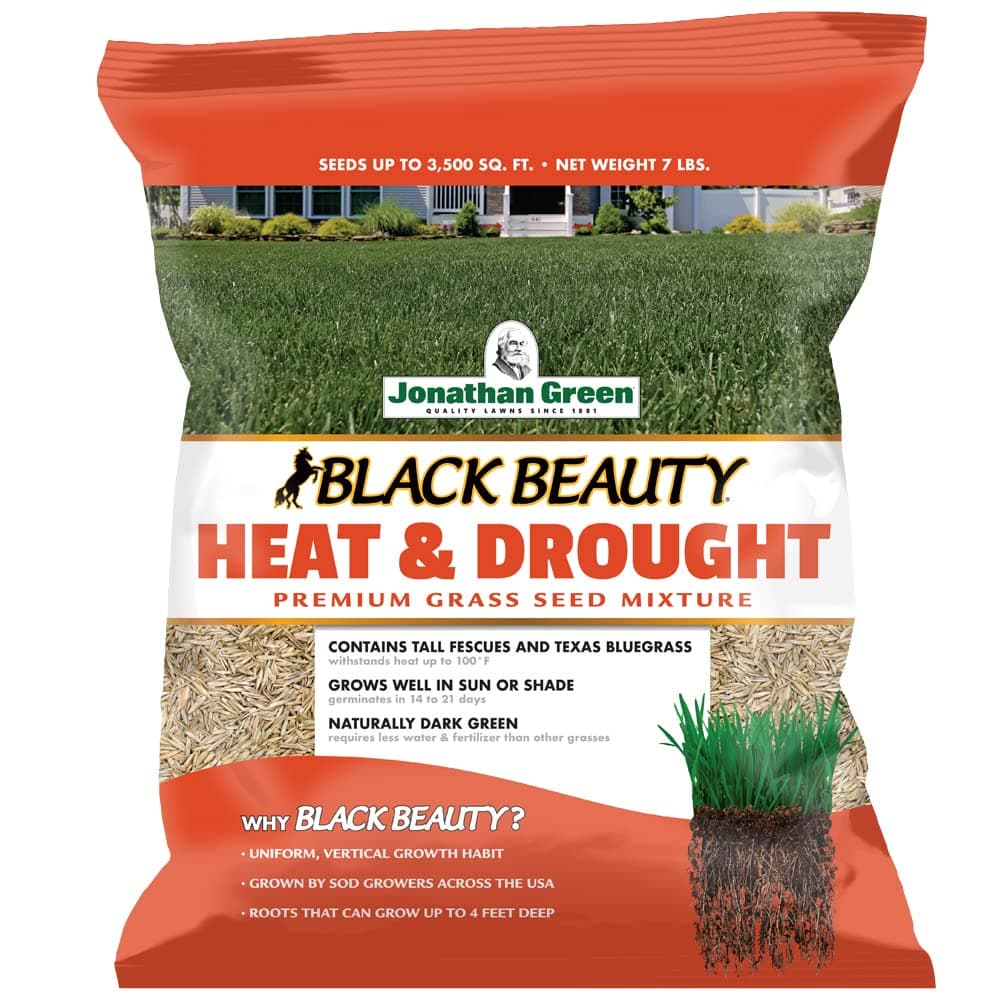 Black Beauty Heat & Drought Grass Seed