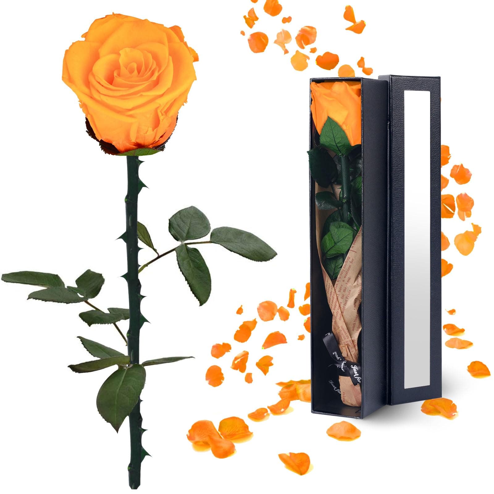 女性へのプリザーブドフラワーギフト:クリスマス、母の日、誕生日、記念日、結婚祝い、ママ、ガールフレンド、妻、おばあちゃんに。