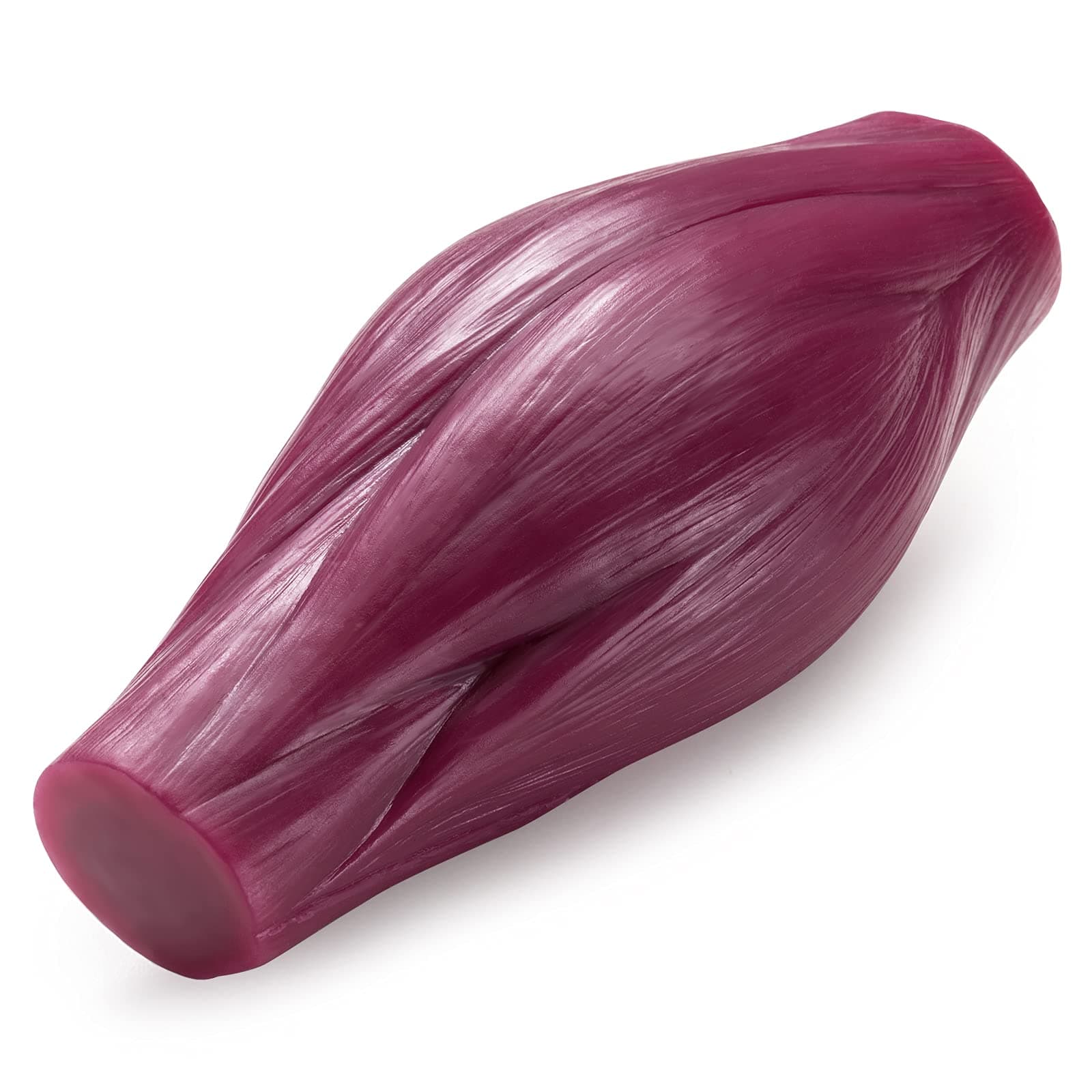 Human Body Muscle Replica Model - 1 lb to Keep Fit & Fitness Encouragement for Fitness Enthusiast, Nutritionist, Athlete