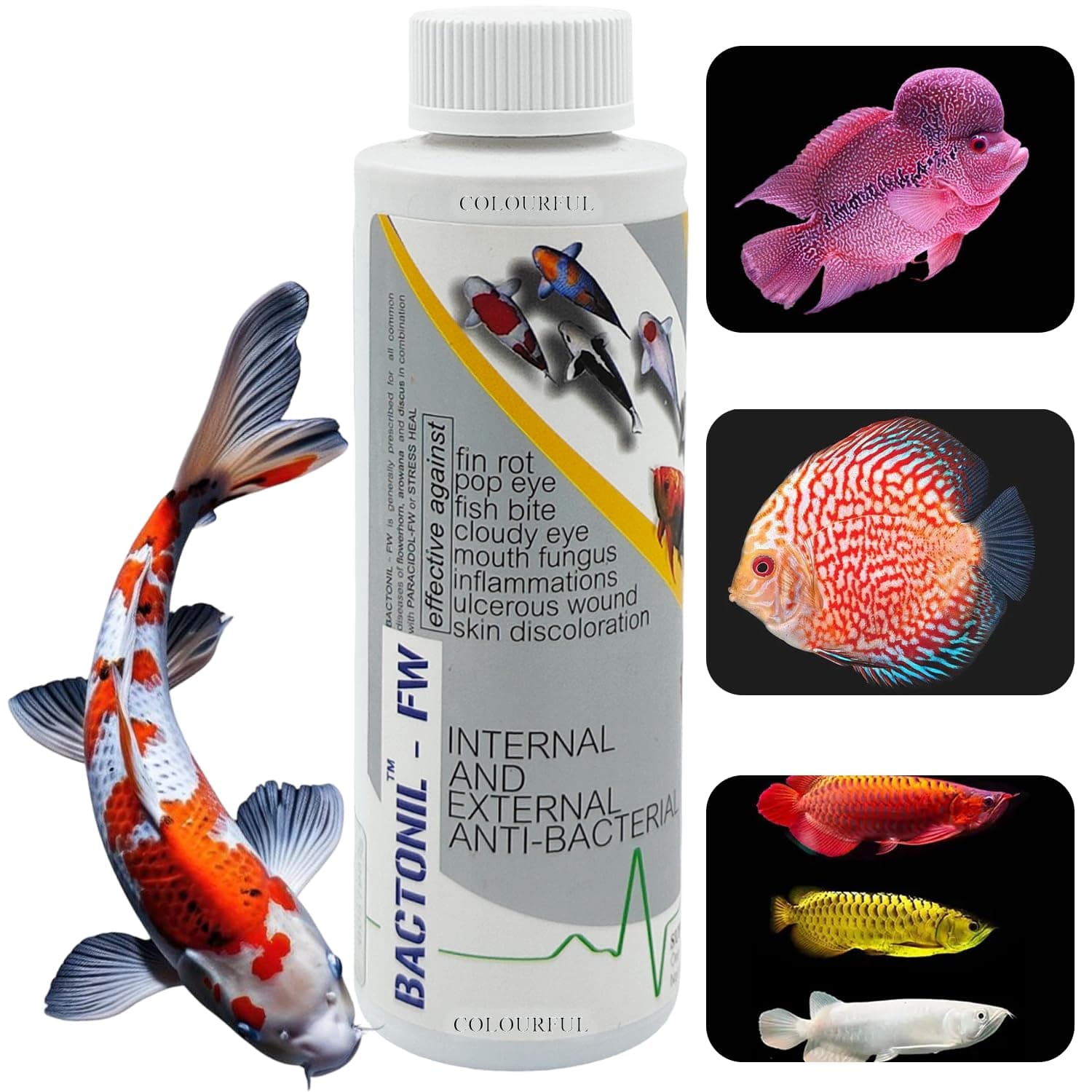 BACTONIL –FW Freshwater Anti-Bacterial Solution for Aquarium Fish | for All Common Diseases of flowerhorn, arowana and Discus (BACTONIL –FW, 220ml), Pack of 1