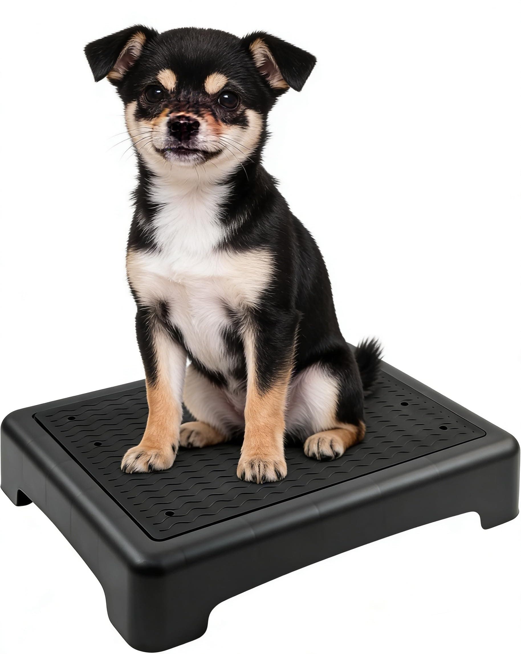 Dog Training Place Board with Non-Skid Surface, Dog Platform for Training, Portable Dog Agility Platform, Dog Training Stand, Dog Training Equipment Suitable for Small Dogs, 17x13x3.14Inch