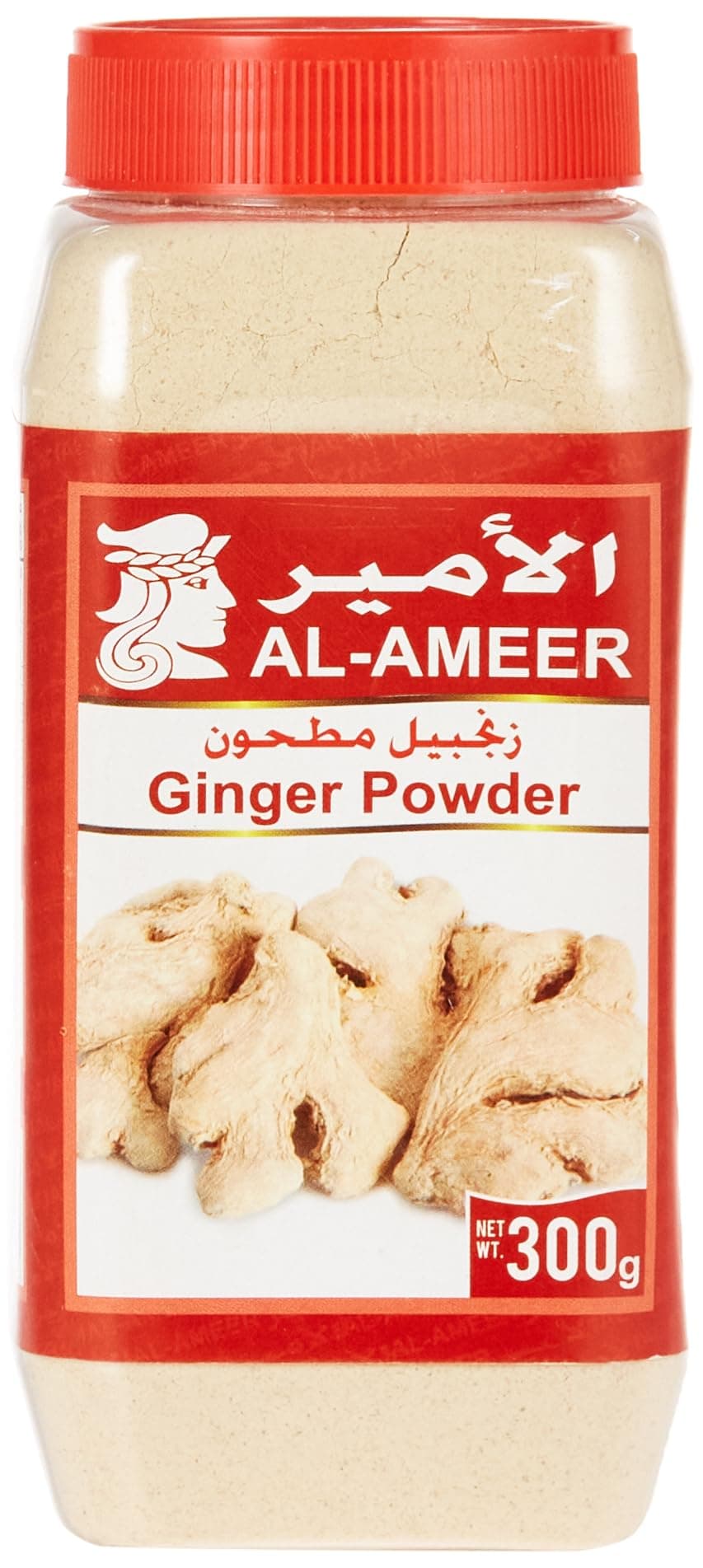 Al Ameer Ginger Powder 300 g