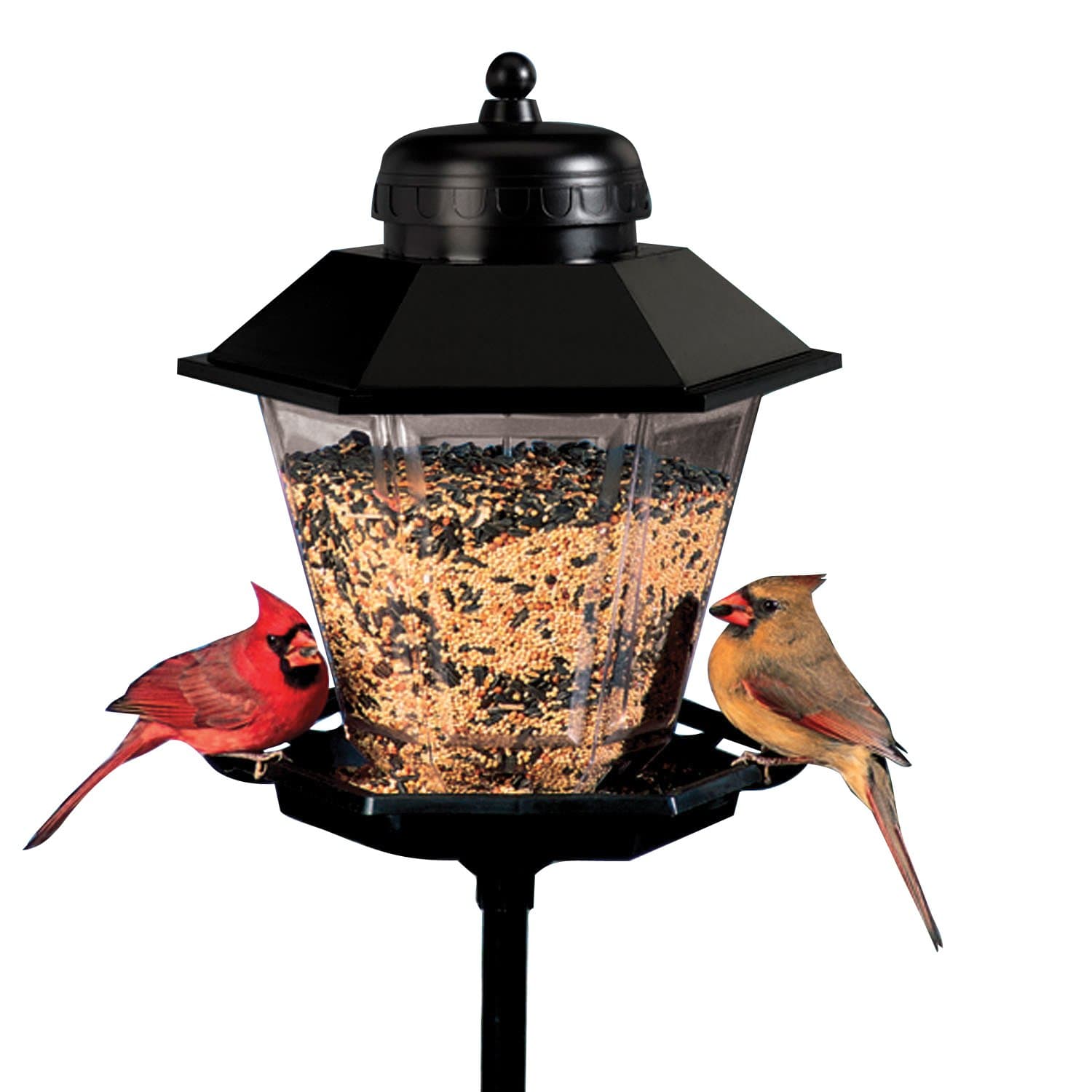 Cherry Valley Coach Lamp Bird Feeder Model 6200