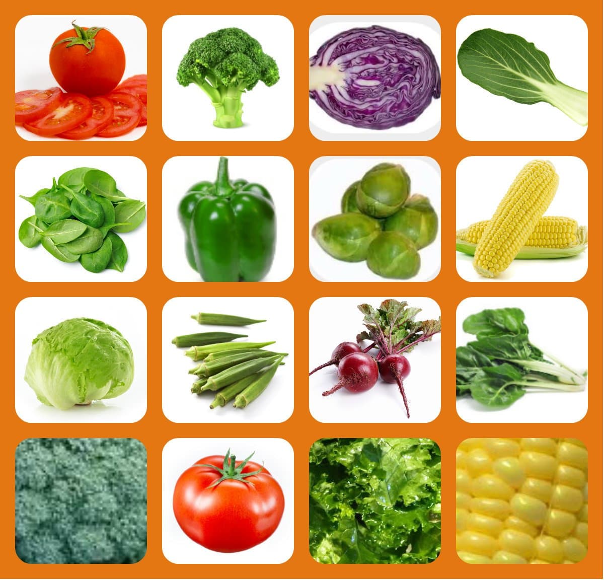 Non Hybrid, NO GMO Vegetable Seeds, Vitamin Pack, Tomatoes,Green Pepper, Pak Choi, Broccoli,Spinach,Swiss Chard, Brussel Sprouts, Cabbage, Kale, Okra,Spinach, Corn,Beets,Lettuce Iceberg