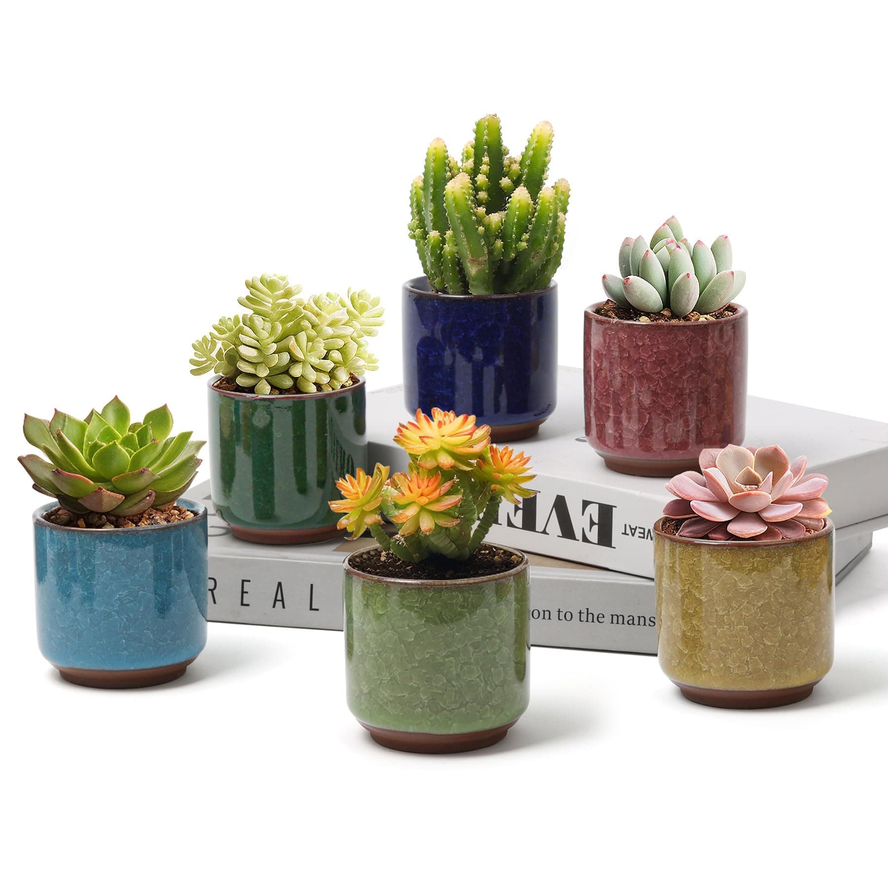 T4U 2.5 Inch Small Ceramic Succulent Planter Pot with Drainage Hole Set of 6, Ice Crack Glaze Plant Container for Cactus, Succulent Plant Gifts for Women Mom Aunt Home Office Decor