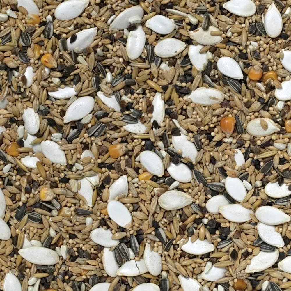 Johnston & Jeff Galah Mix 12.5kg