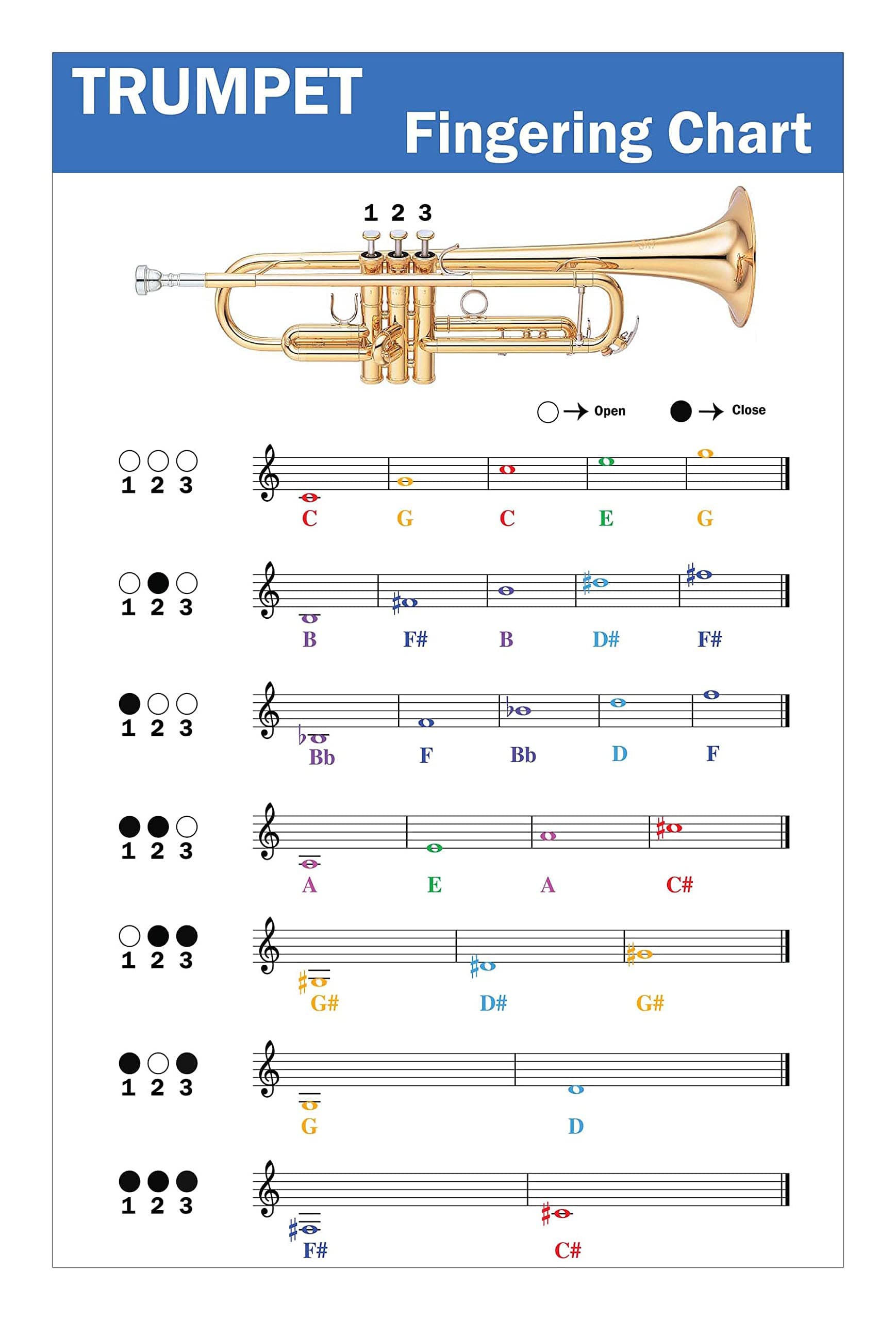Trumpet Fingering Chart with Color-Coded Notes, Learn Trumpet Technique