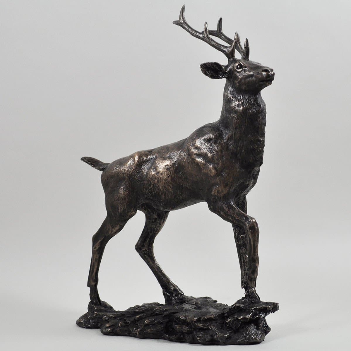 6020 Highland Monarch 'Stag' in Cold Cast Bronze by David Geenty