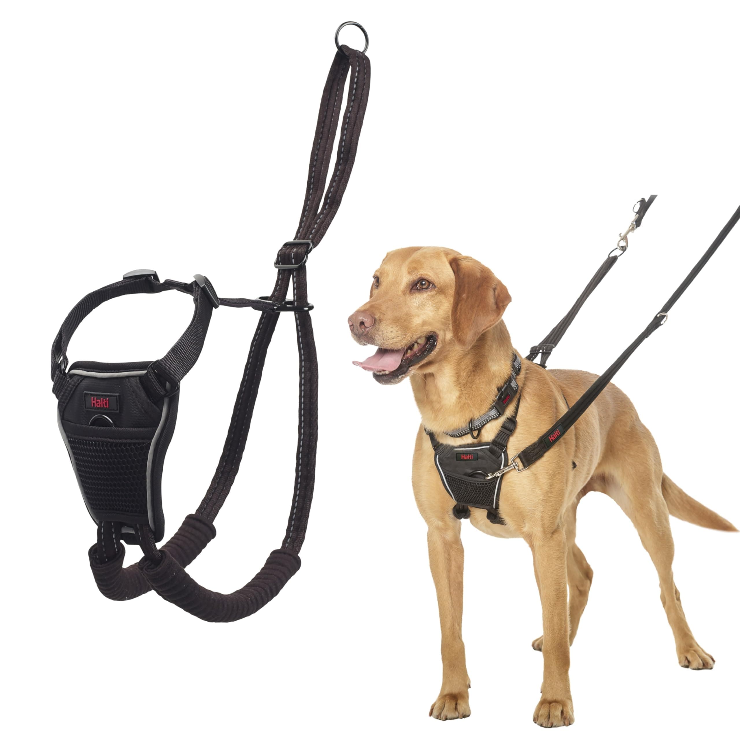 Company of Animals The Halti No-Pull Harness, Medium