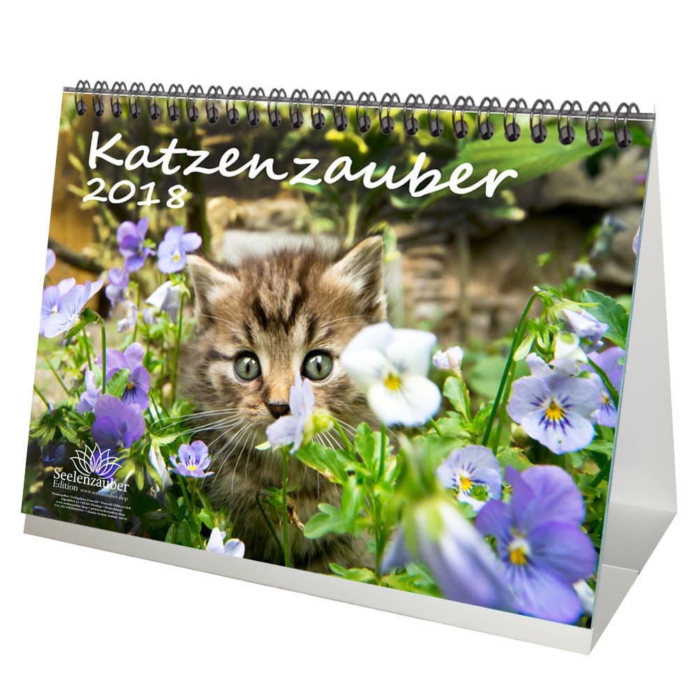Premium Desktop Calendar/Calendar 2018 – DIN A5 – Cat Magic Cat; Gift Set with 1 Greeting Card – Christmas Card Edition and Soul Magic