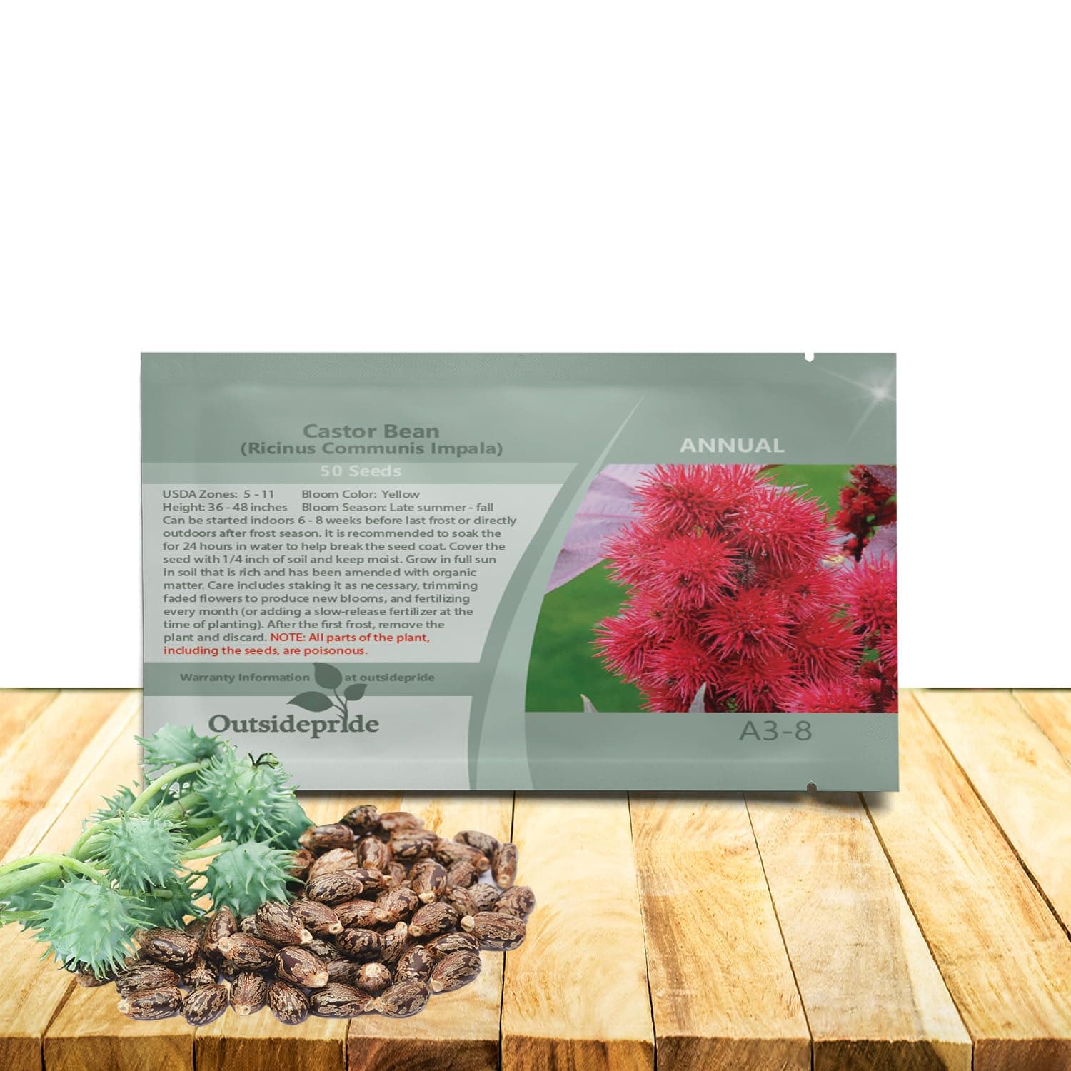 Outsidepride Impala Castor Bean Seeds - 50 Pcs. Annual Quick-Growing Tropical Flower Seeds for Planting Vibrant Foliage & Colorful Blooms for Eye-Catching Borders, Gardens & Landscapes