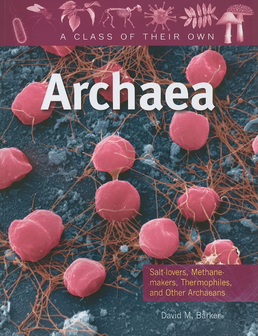 Archaea: Salt-Lovers, Methane-Makers, Thermophiles, and Other Archaeans (Class of Their Own) Paperback – January 15, 2010