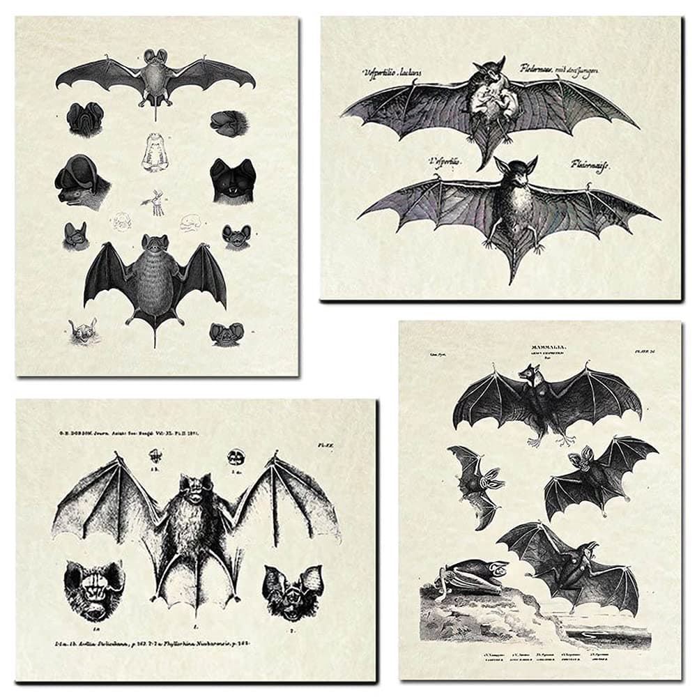 KIHOARL 4 Pcs Bats Wall Decor Bats Wall Art Canvas Print,Vintage Retro Hipster Gothic Wall Decor Goth Art Gothic Gifts Creepy Scary Anatomical Picture Poster for Home Living Room Bedroom Office