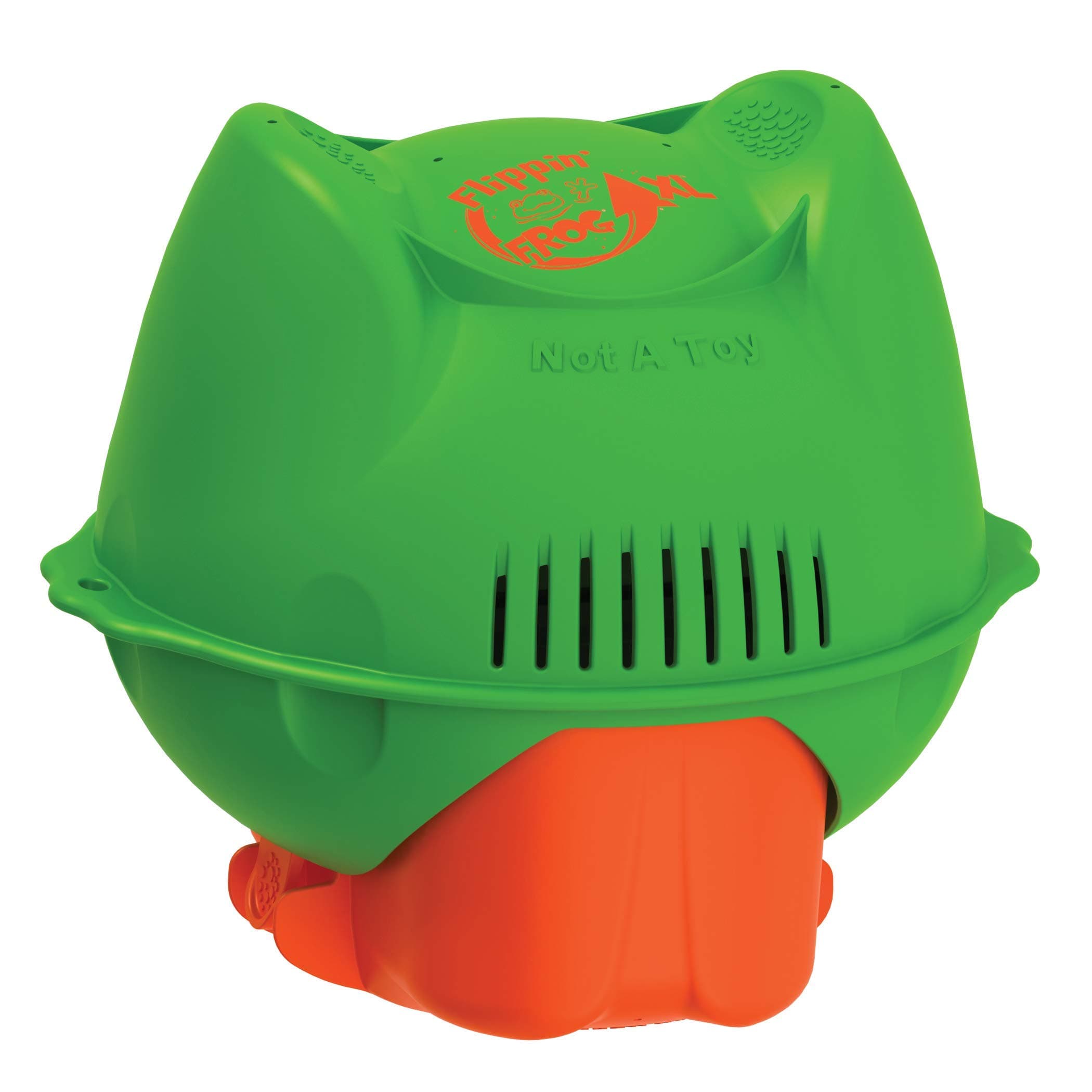 FROG Flippin XL Mineral Pool Sanitizer