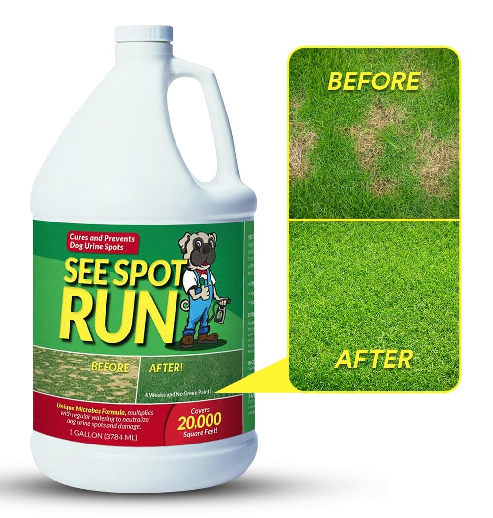 - See Spot Run Lawn Protection Concentrate Refill – 128 fl oz Each – Ready-to-Mix Solution for Dog Owners – Lawn Saver – Supports Healthy Soil – Safe for Pets