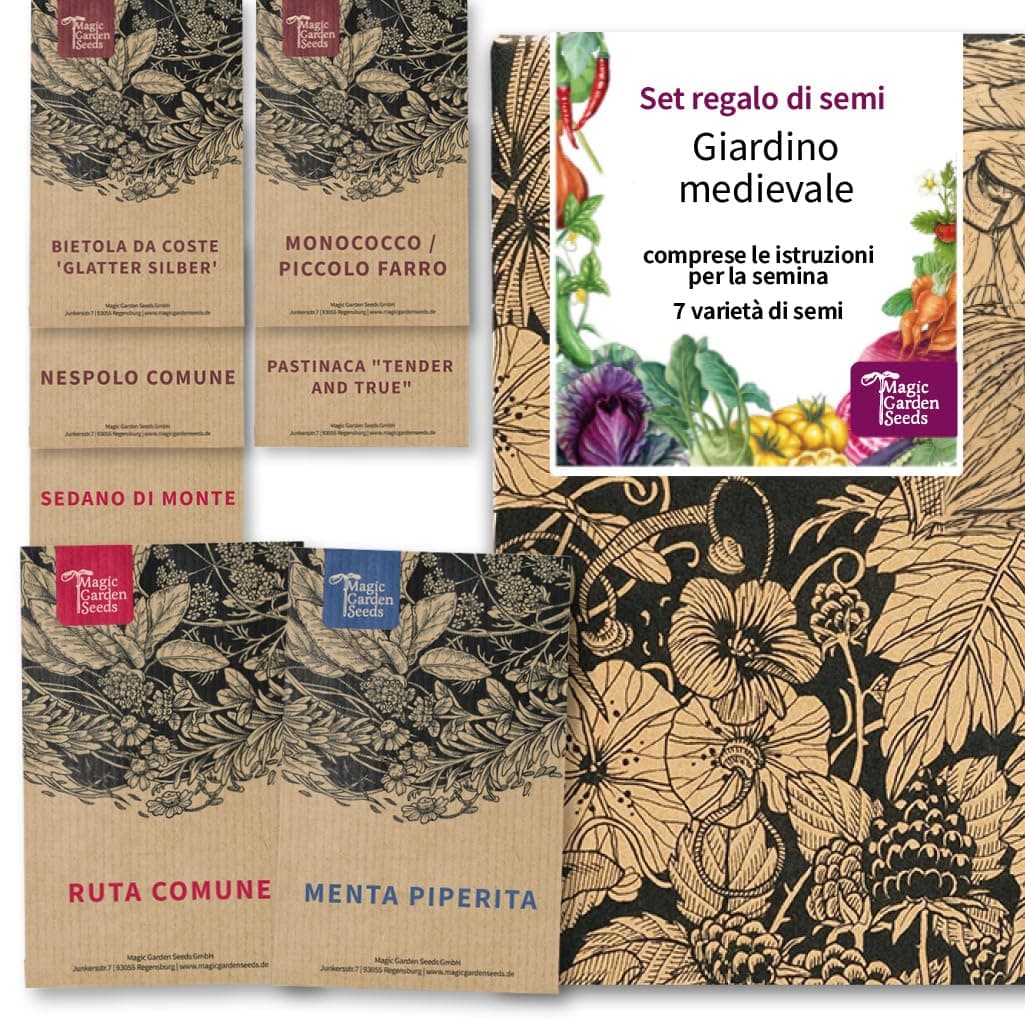The Medieval Garden - Seed kit Gift Box with 7 Traditional Plants from The Medieval Kitchen Garden