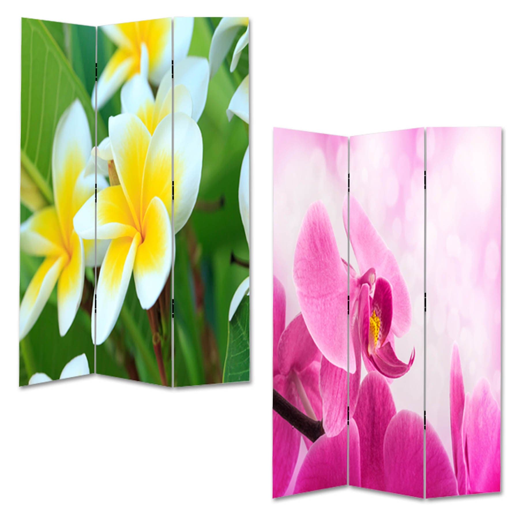 Lillyvale Room Divider/Canvas Screen/Folding Screen/Privacy - NEW floral 2