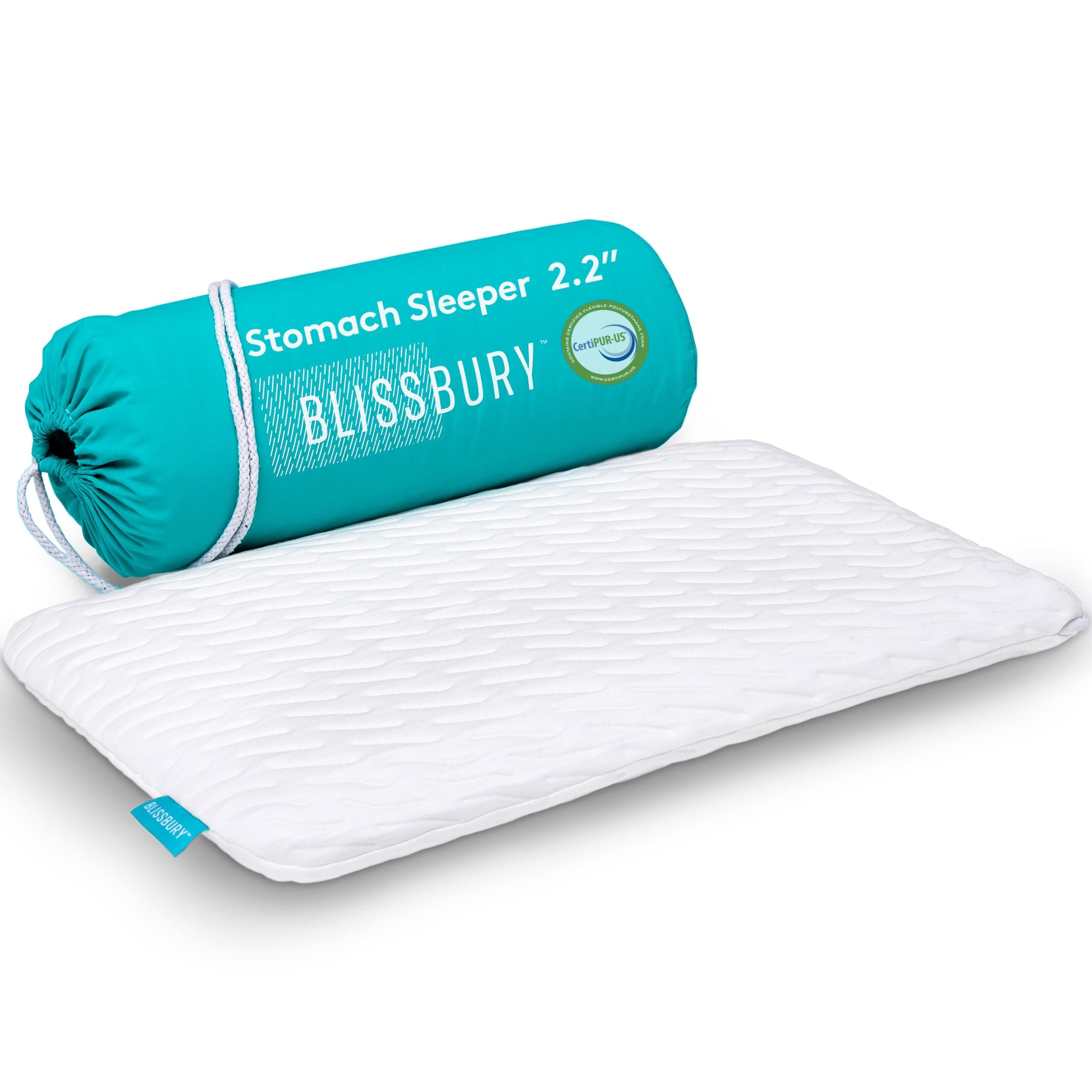 BLISSBURY 2.3 Inch Super Thin Pillow for Sleeping | Premium Memory Foam Flat Pillow for Stomach Sleeper | for Back & Stomach Sleeper | Certified Foam for Neck and Back Support | Removable Pillow Case