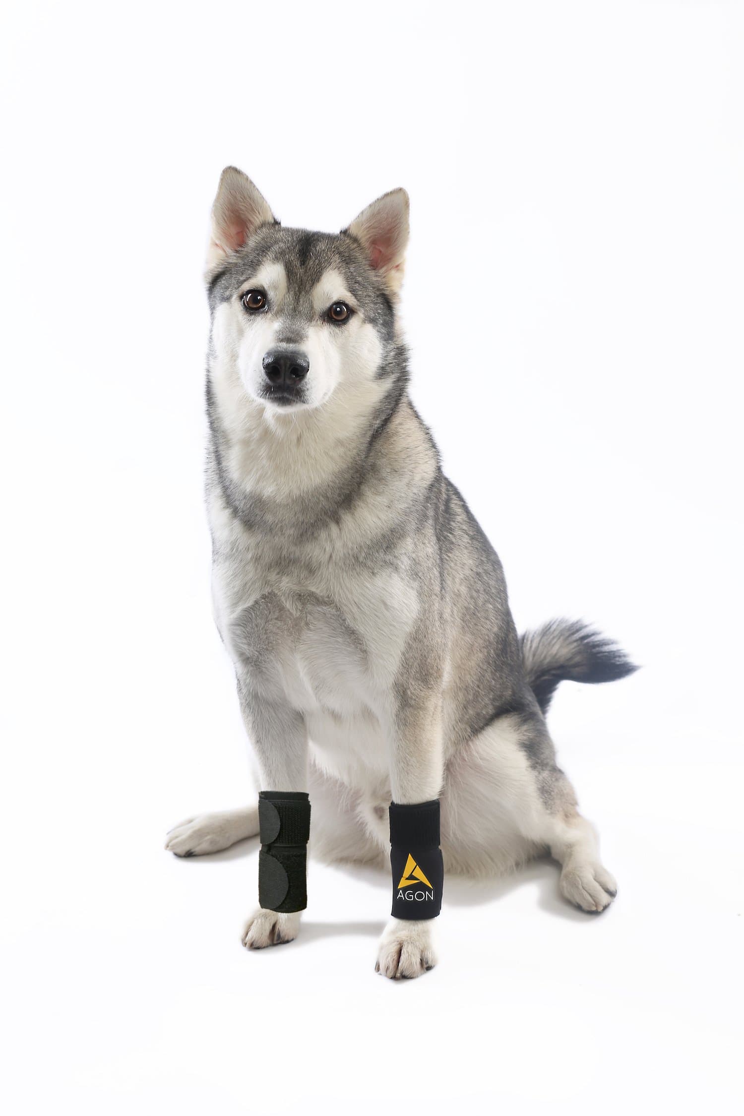 Pair Dog Canine Front Leg Brace Paw Compression Wraps with Protects Wounds Brace Heals and Prevents Injuries and Sprains Helps with Loss of Stability Caused by Arthritis (Large/X-Large)