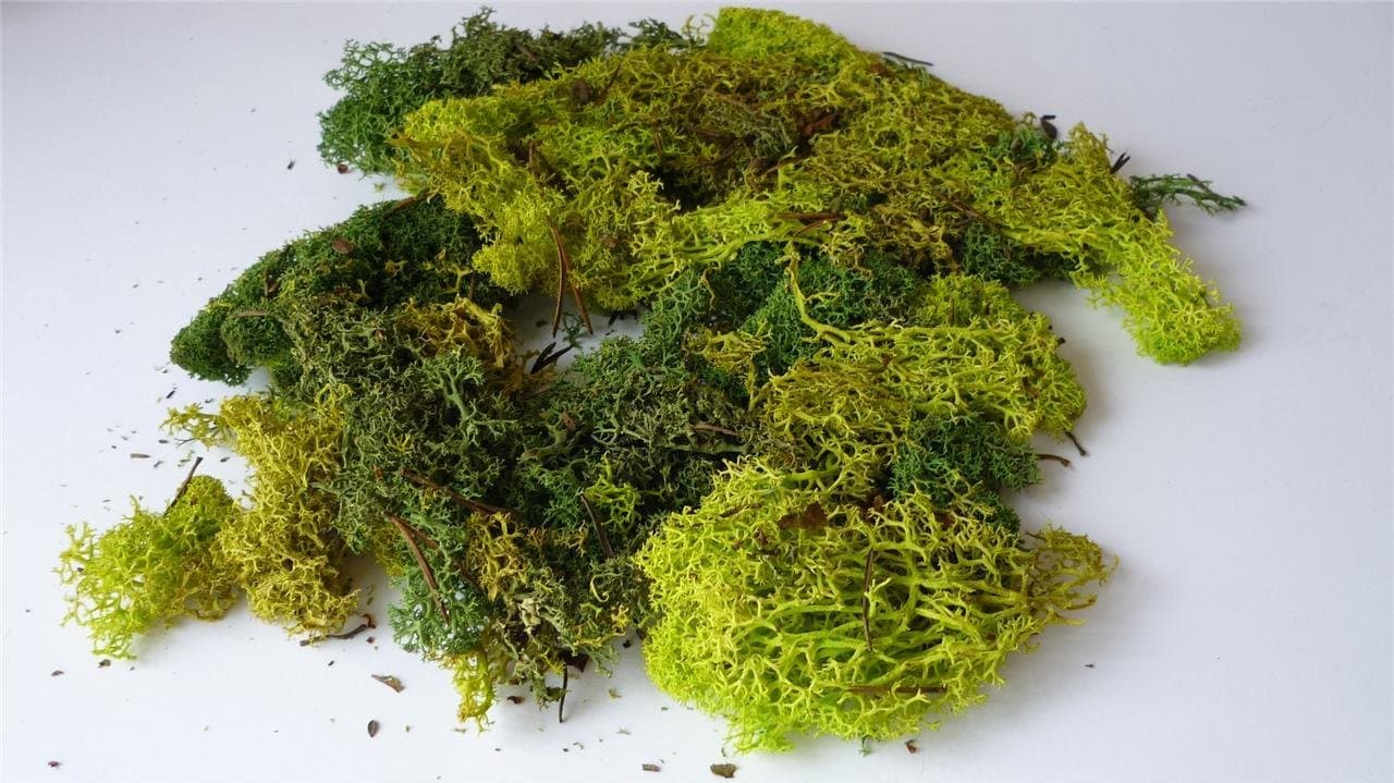 Mixed Green Model Scenic Lichen - Approx 50 grams