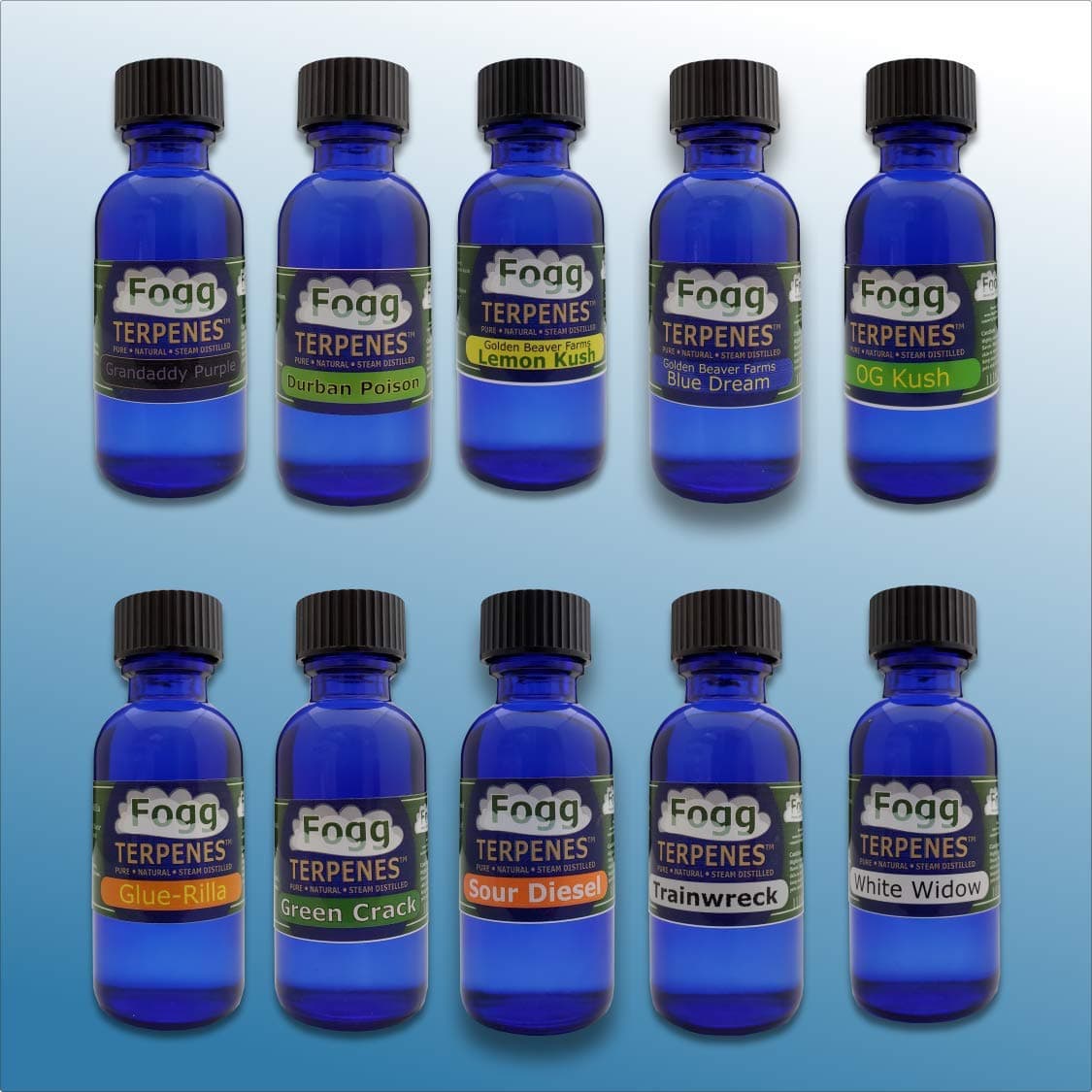 FOGG Terpenes - Original Captain's Ten Pack (30 ml)