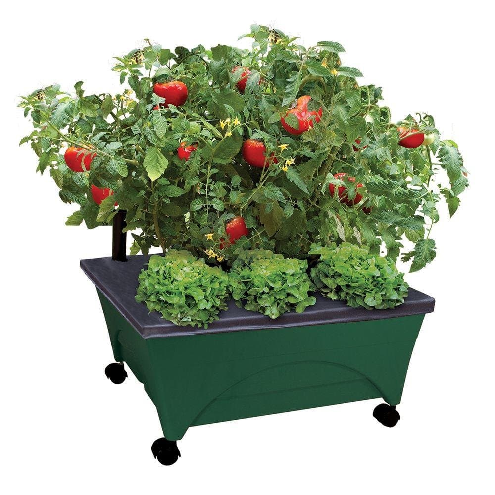 2341-1HD City Picker Raised Bed Self Watering and Improved Aeration – Mobile Unit with Casters-Hunter Green Grow Box and Seed Starter