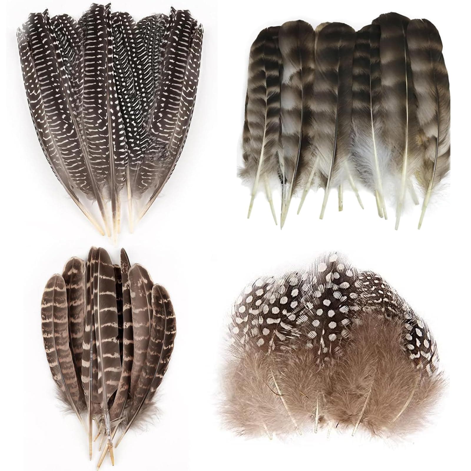 50 Pcs 4 Styles Natural Feathers for Crafting, Brown Pheasant Feathers, Speckled Craft Feathers, 12-20 Cm Brown Speckled Feathers DIY Pheasant Tails Feather for Crafts Wreath Party Deco Cosply Props