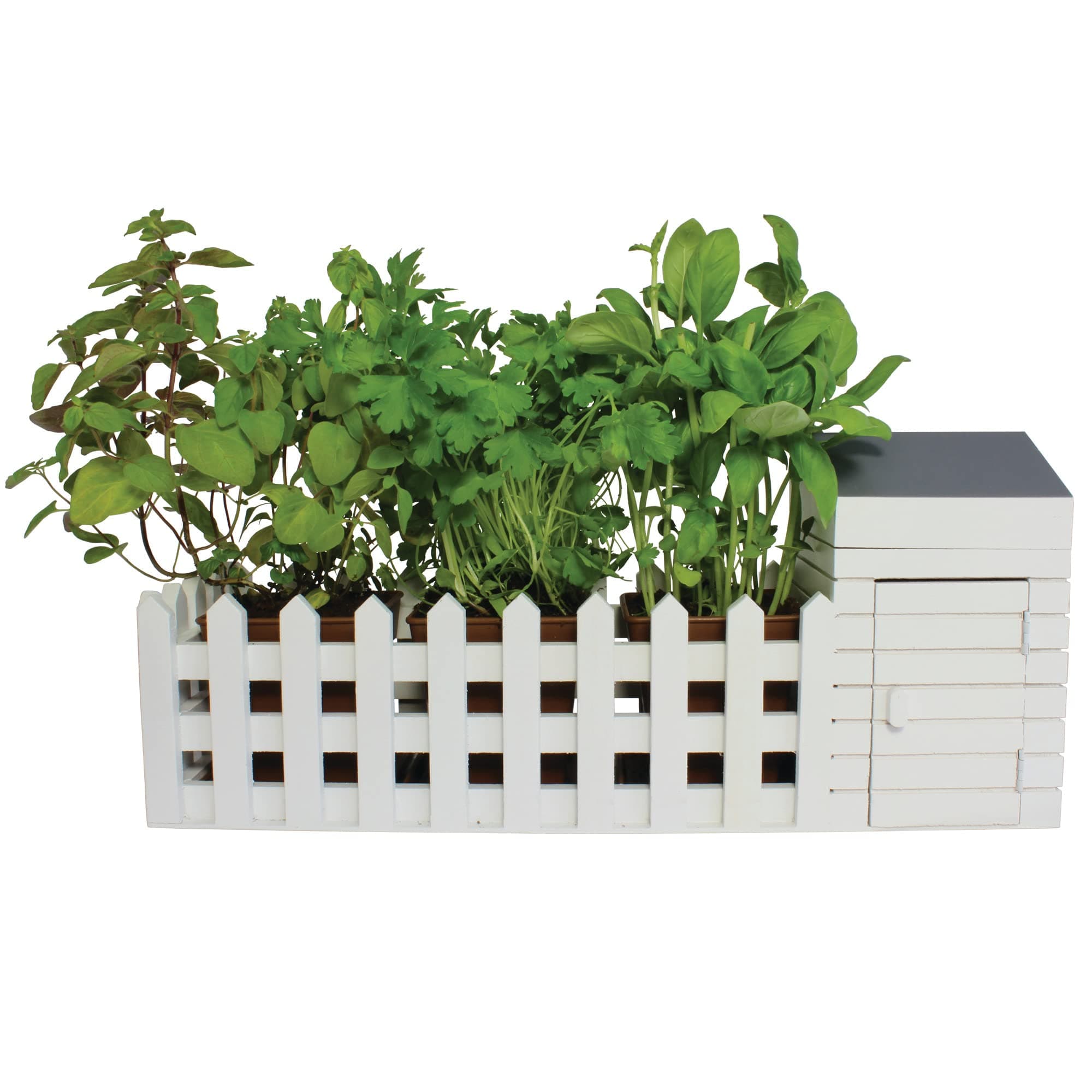Indoor Allotment Gift Set Herb Garden