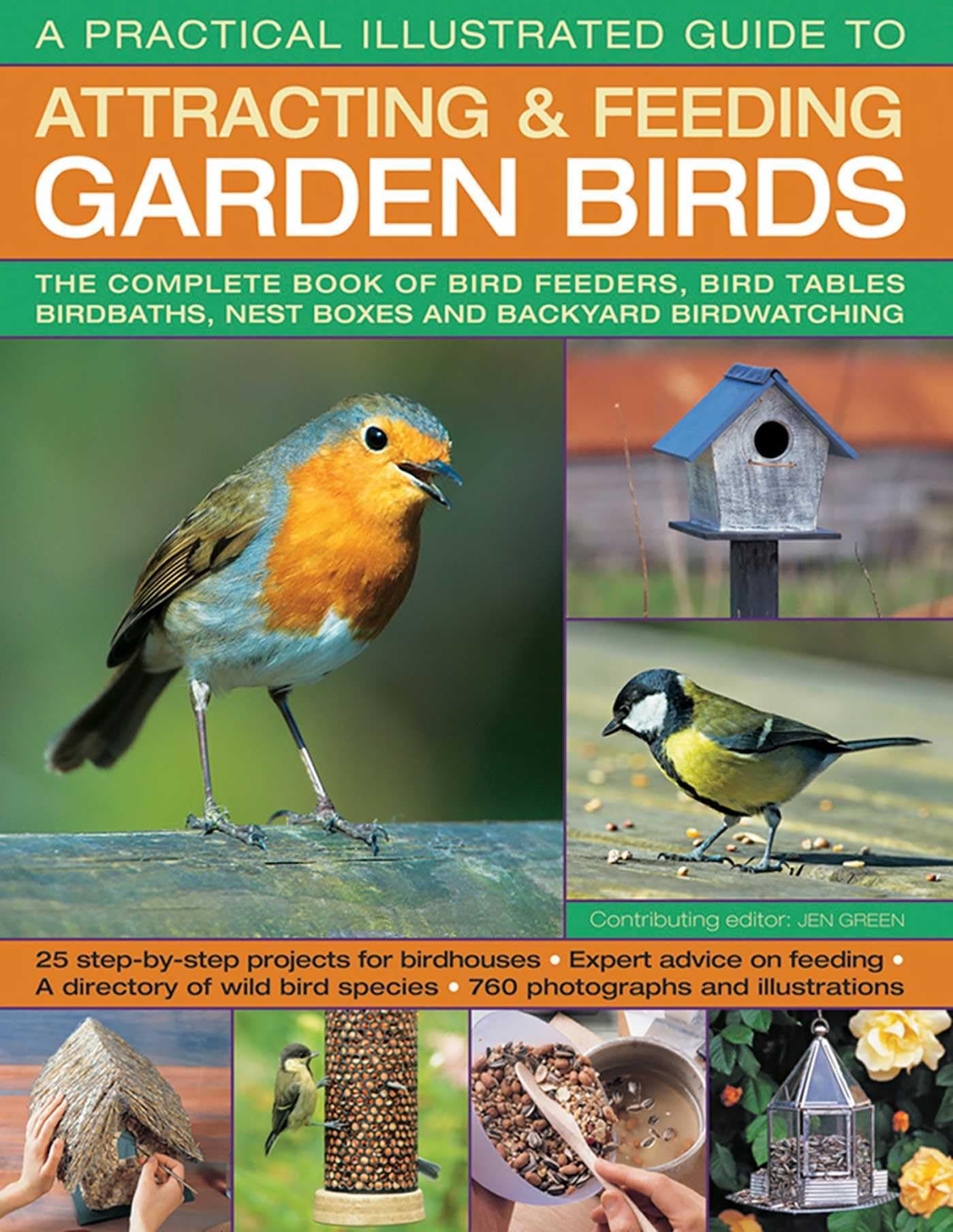 A Practical Illustrated Guide to Attracting & Feeding Garden Birds: The Complete Book of Bird Feeders, Bird Tables, Birdbaths, Nest Boxes and Backyard Birdwatching Paperback – Illustrated, 31 Mar. 2016