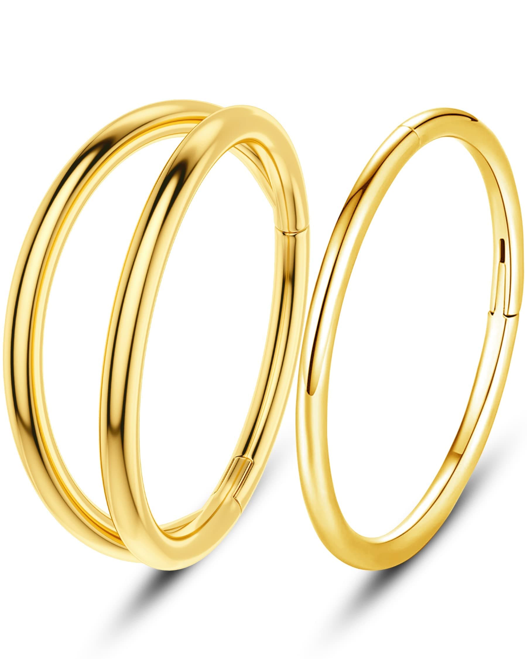 OUFER16G 2pcs Helix Hoop Silver Conch Piercing Tragus Ring Daith Earrings Surgical Steel Silver Orbital Ring Cartilage Ear Hinged Women Jewelry Women Men Gifts